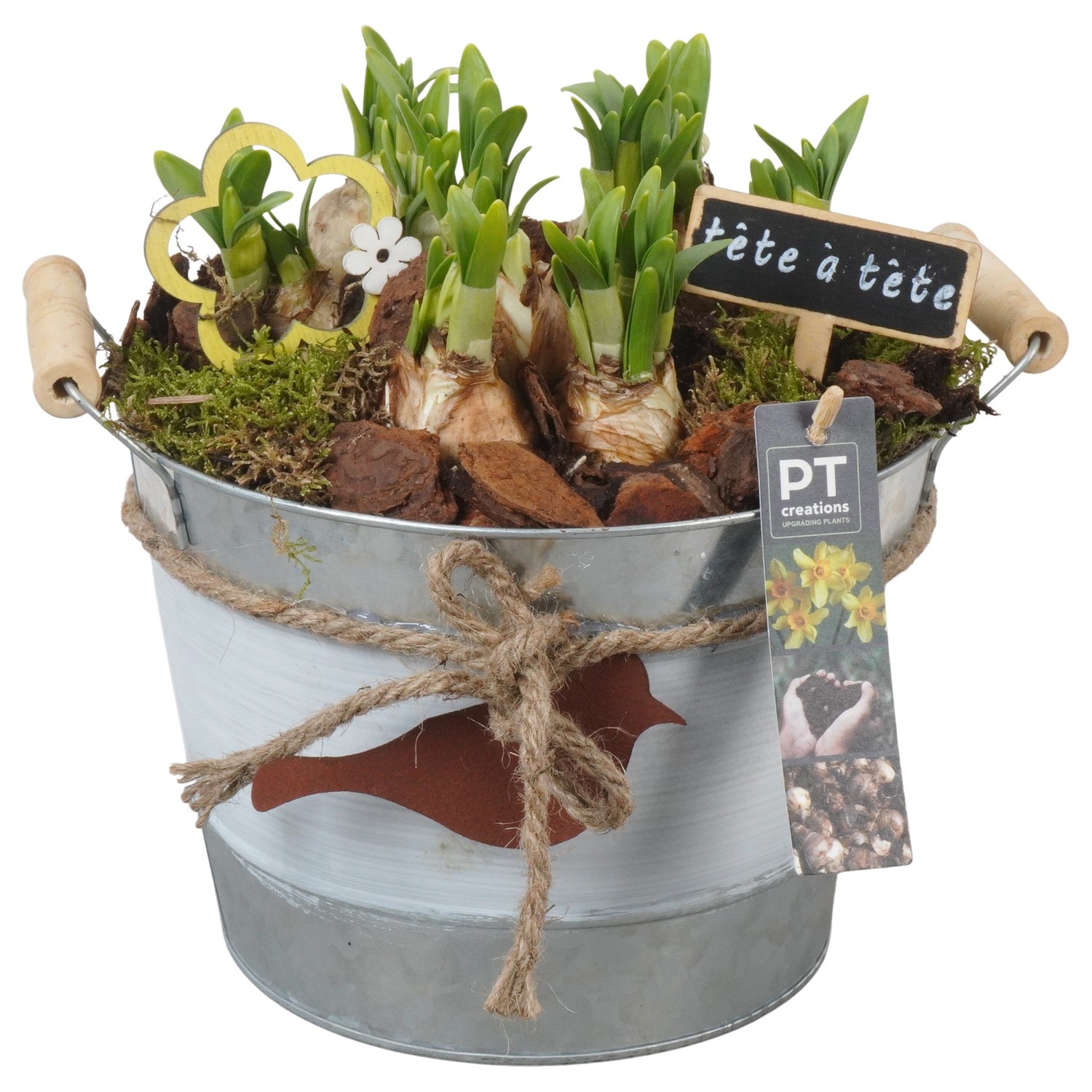 PTN8602 Arrangement Narcissus in zink pot, D 21