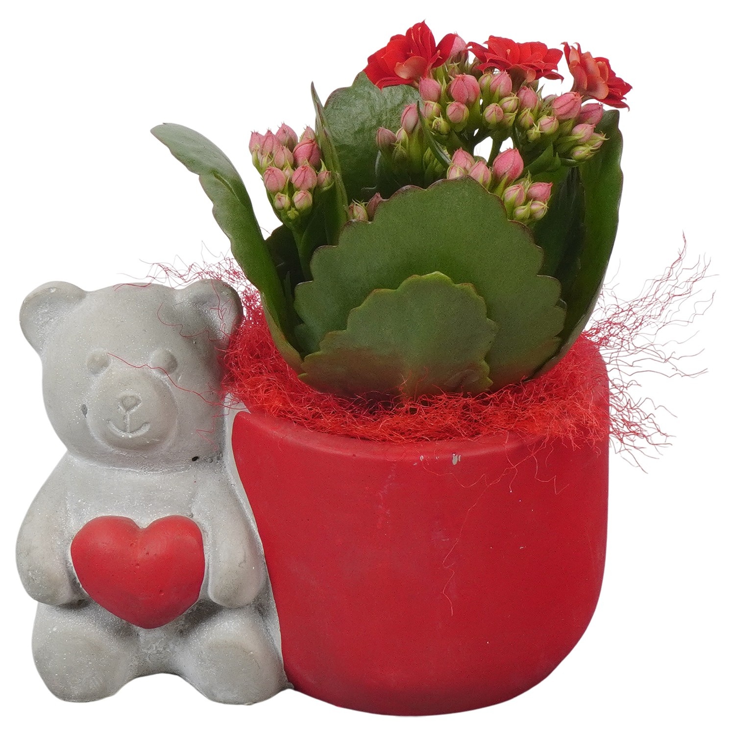 PTVMB2275 Arrangement Valentines-Mothersday in beton sierpot, D 12