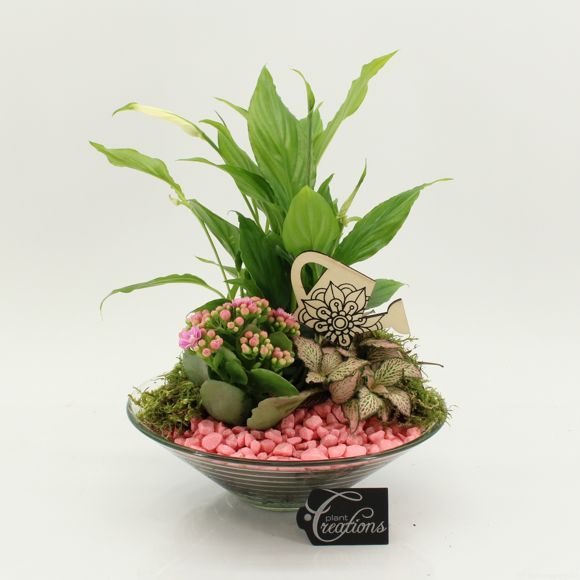 FDCR-2602RZ Basic Fundamentals, D 25