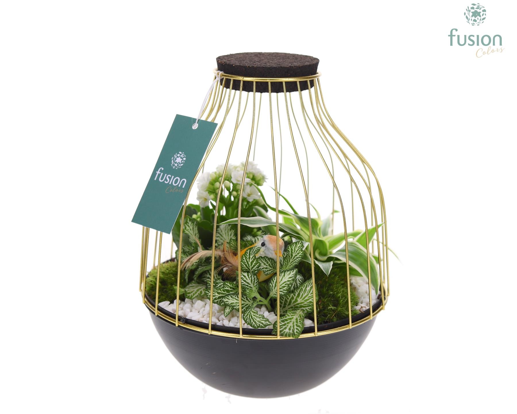 Vogelkooi metaal goudzwart Medium met arrangement, D 19