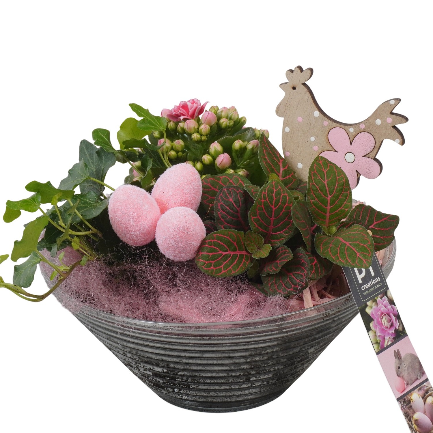 PTPG9351 Arrangement Easter in glasschaal, D 19