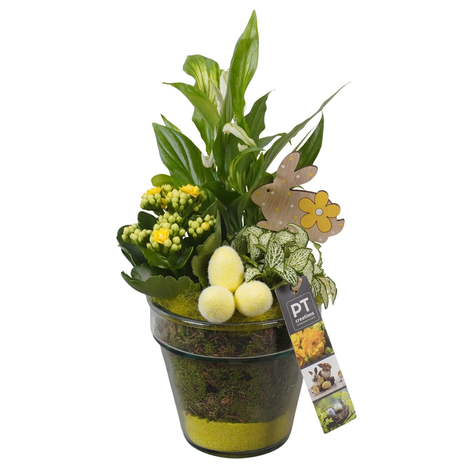 PTPG9395 Arrangement Easter in glas vaas, D 13