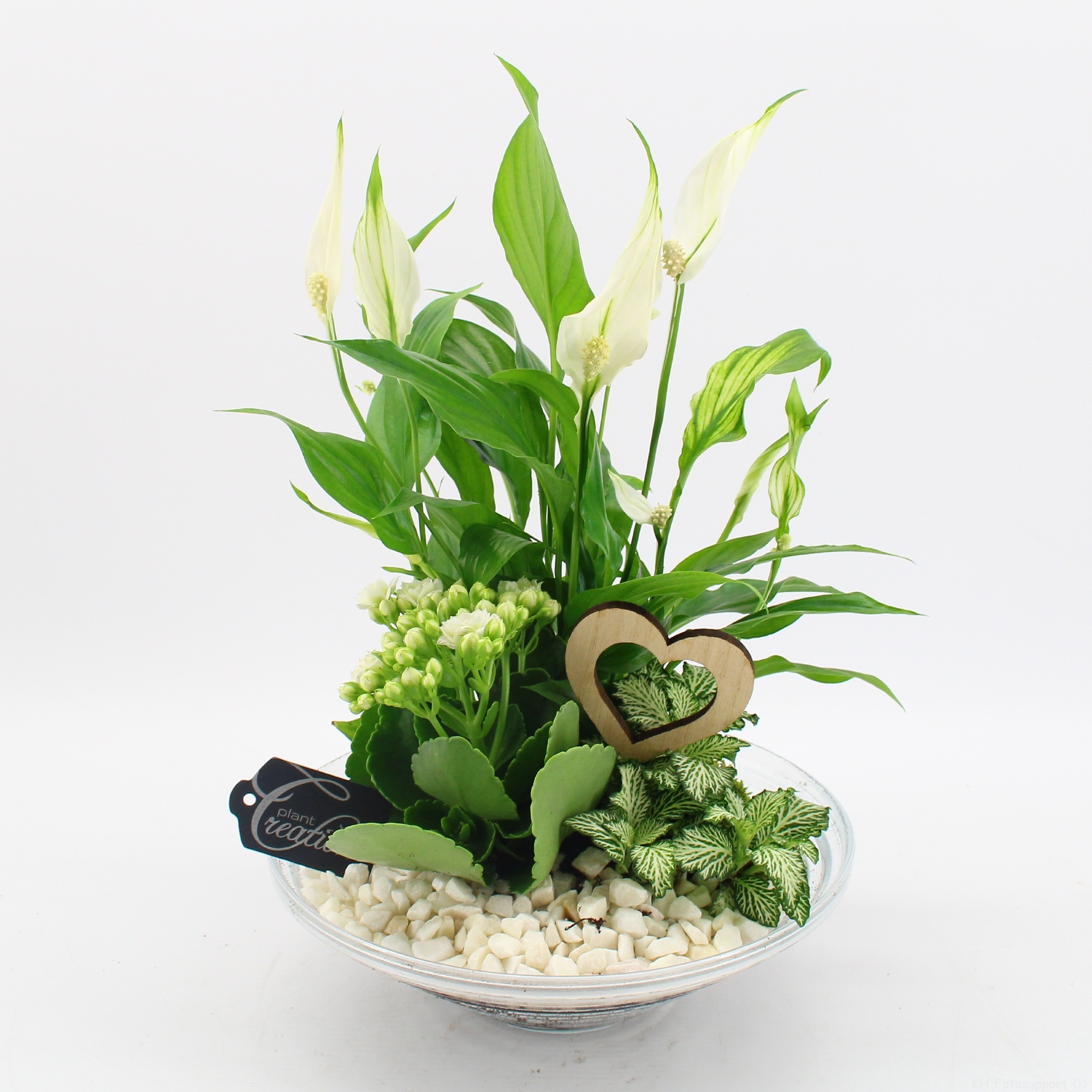 FDRM-2602W Romantic Fundamentals, D 25