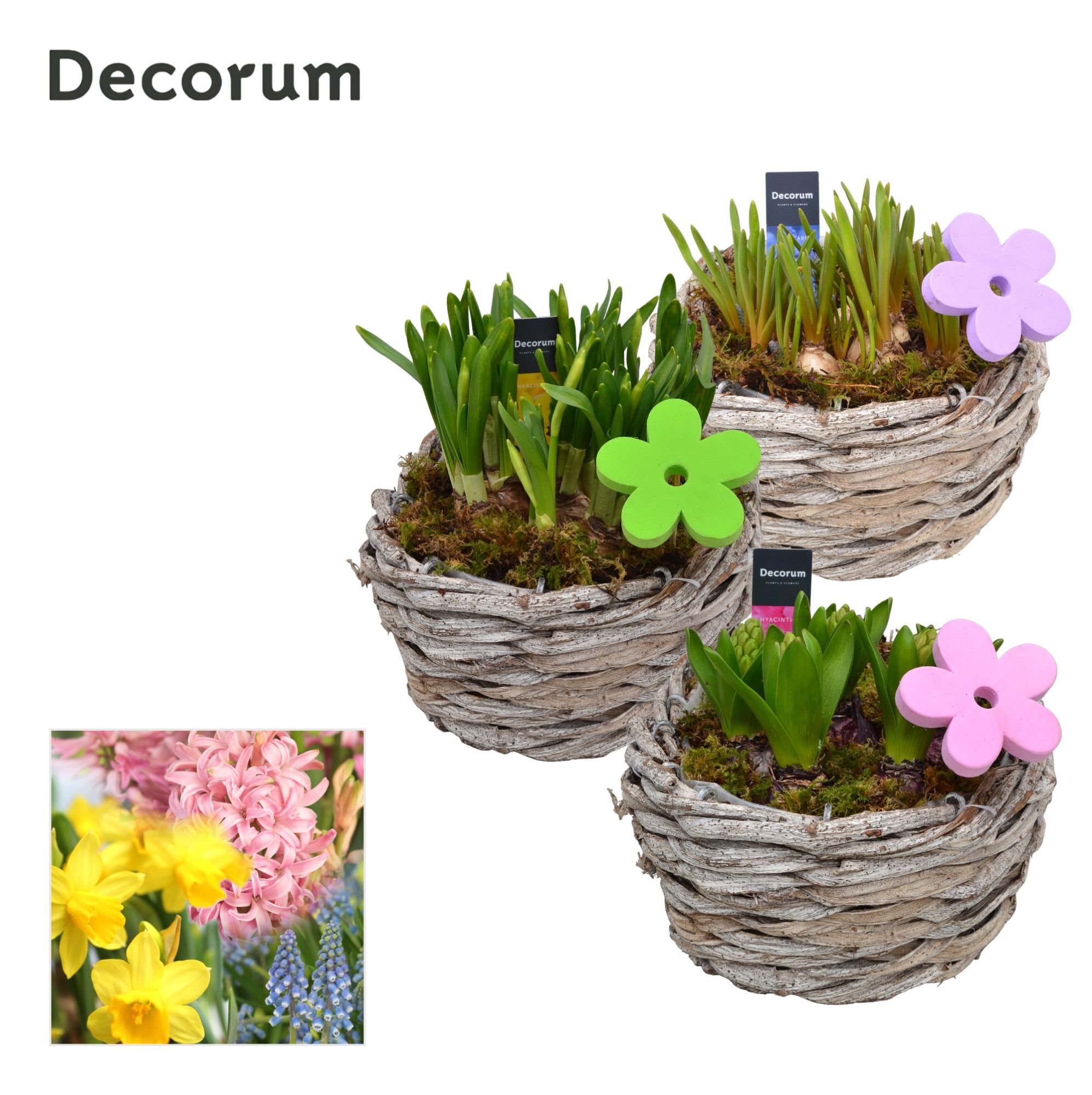 Bollenmix Gevlochten Schaal HL12783B, D 19