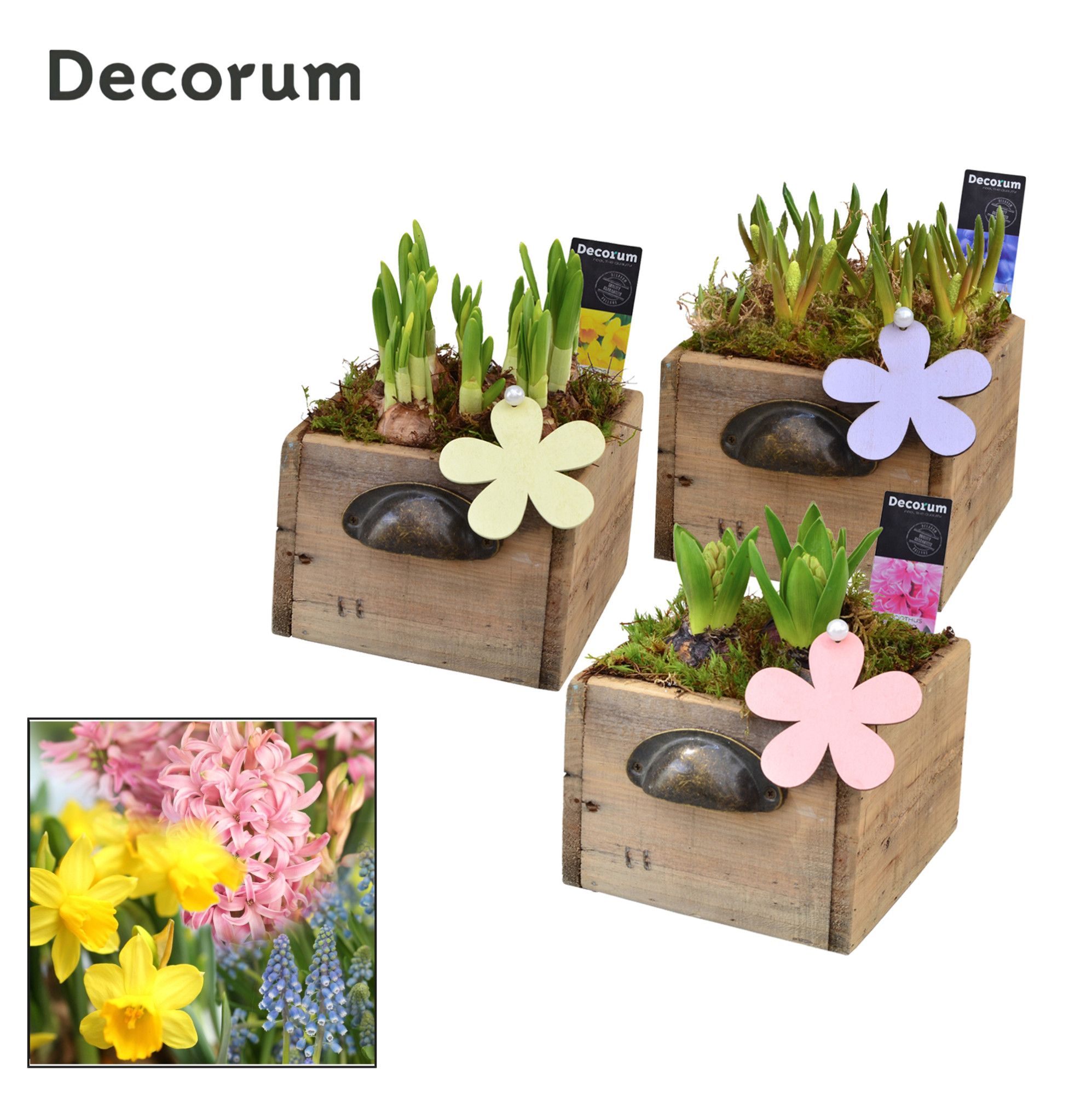 Bollenmix Wooden Drawer HL10753B, D 14