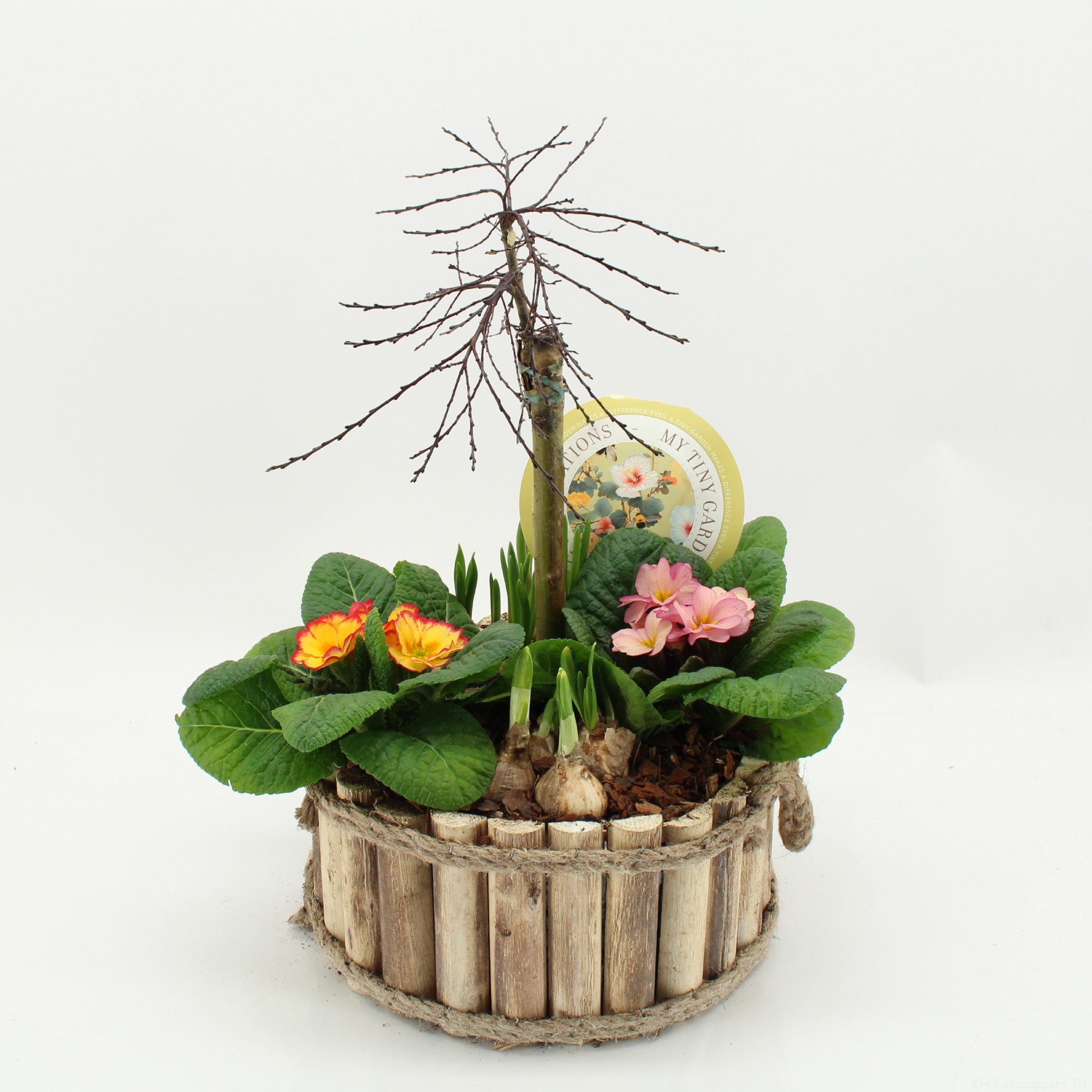 MTG-SA-03 My Tiny Garden Salix, D 26