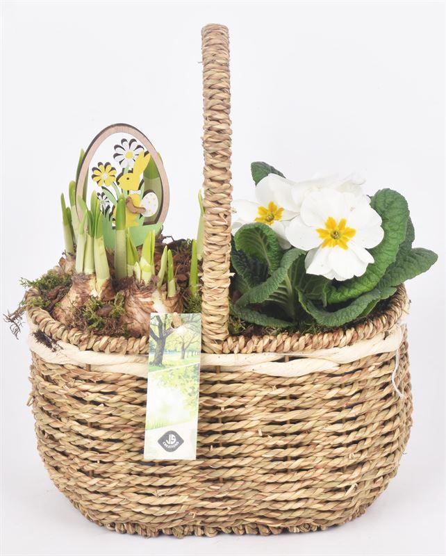 Natuur touwmand 20x15cm, D 21