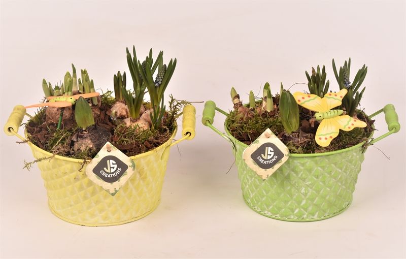 Zink teil met oor groen/geel 18cm, D 17