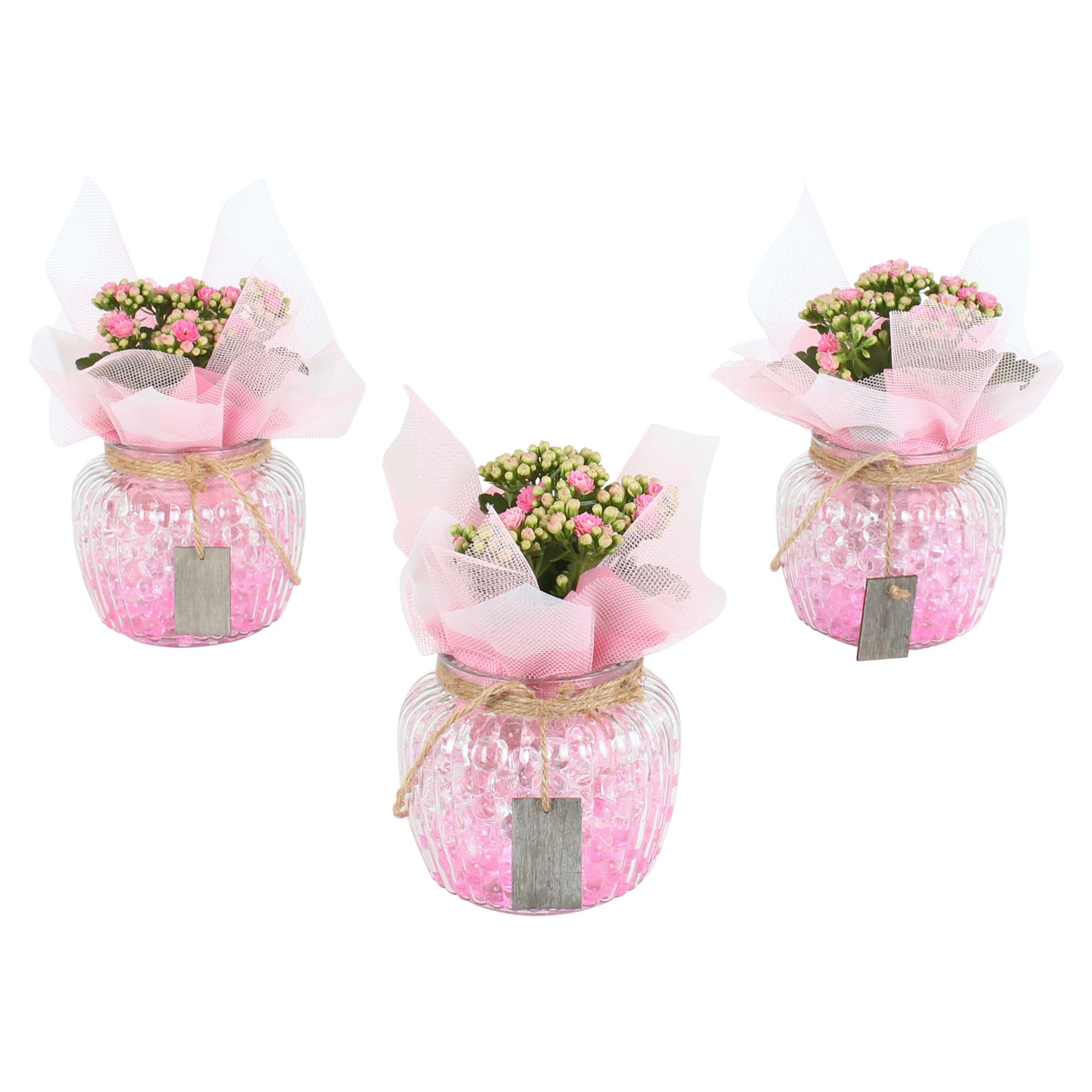 Womens Day Arr. Indoor Glass Round Relief Ø15cm 1PP, D 15