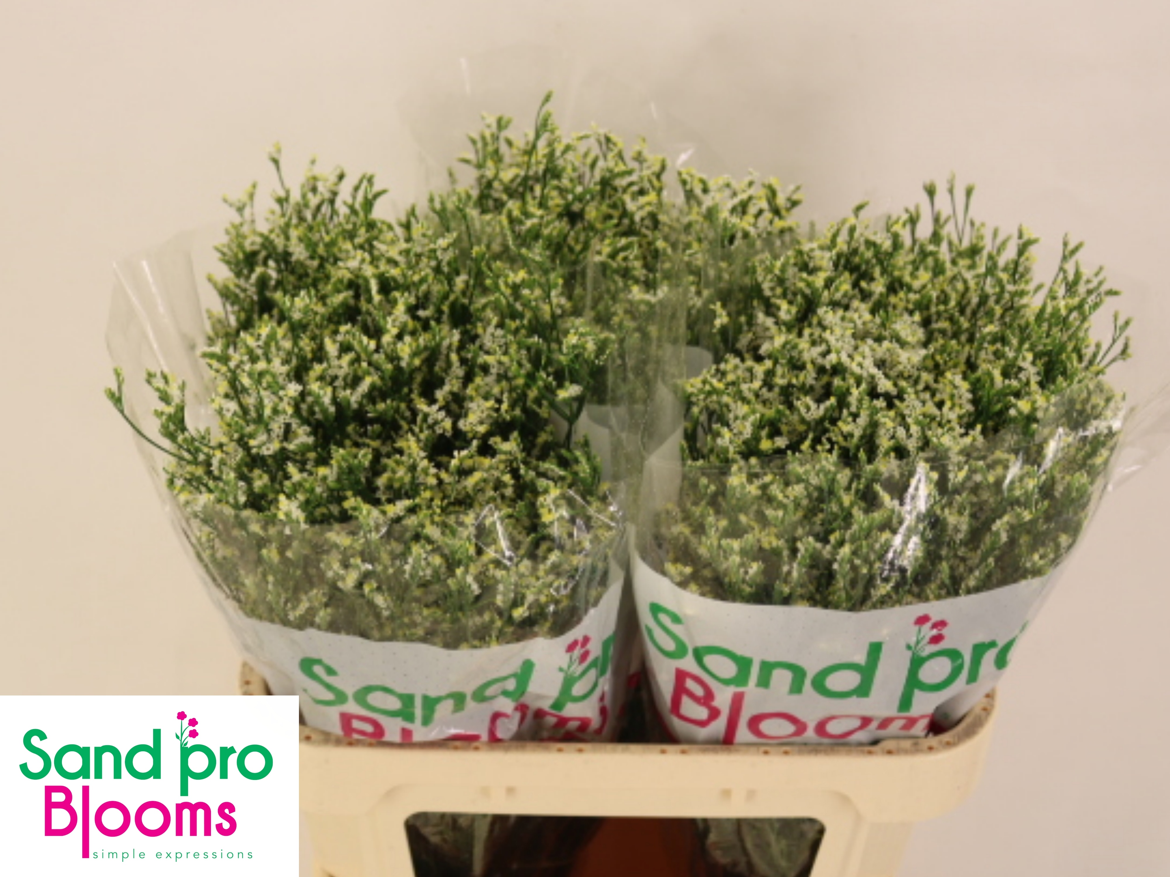 Лимониум Кул Даймонд 70, шт.