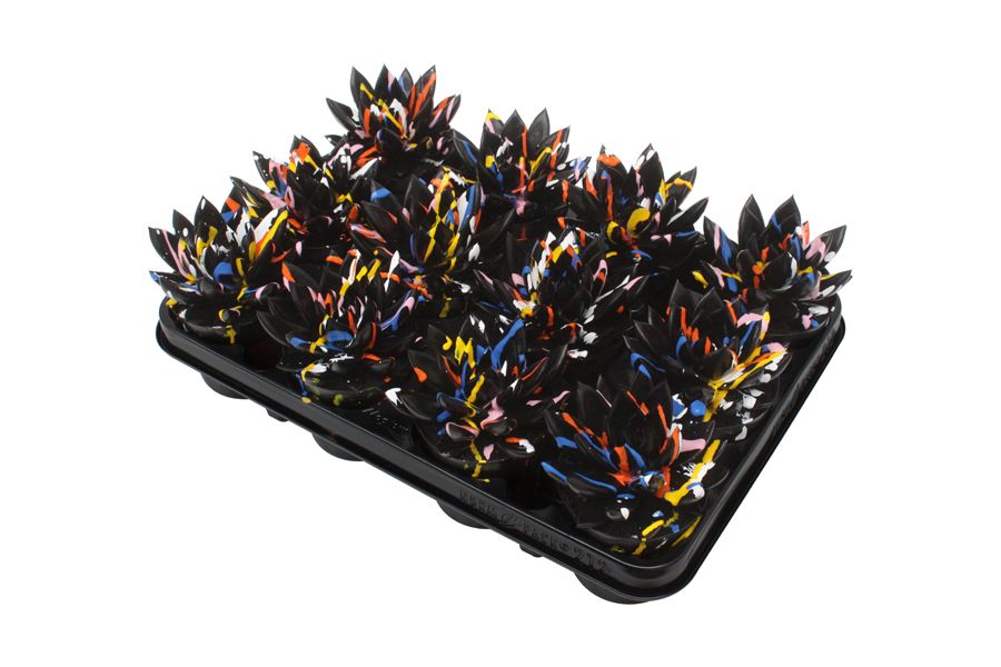 Miranda coloured Splash black, D 8,5