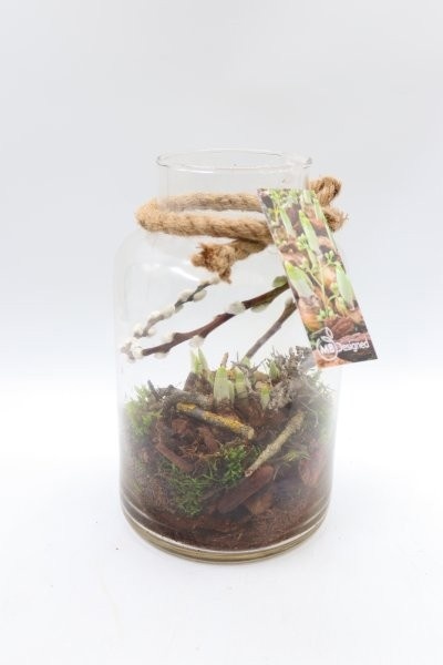 Narcis, vaas Bilano Jar, D 15