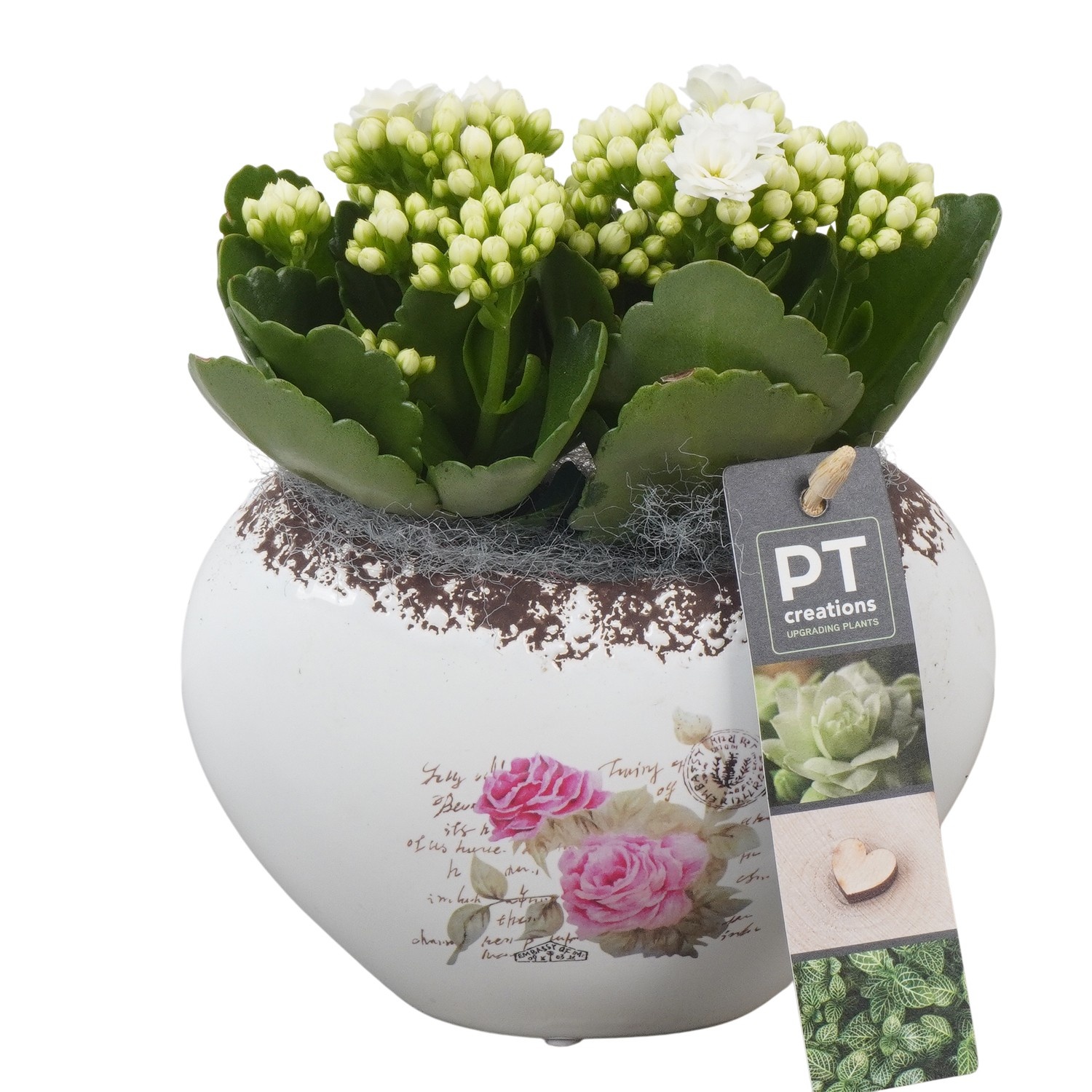 PTVMB2271 Arrangement Valentines-Mothersday in keramiek sierpot, D 15