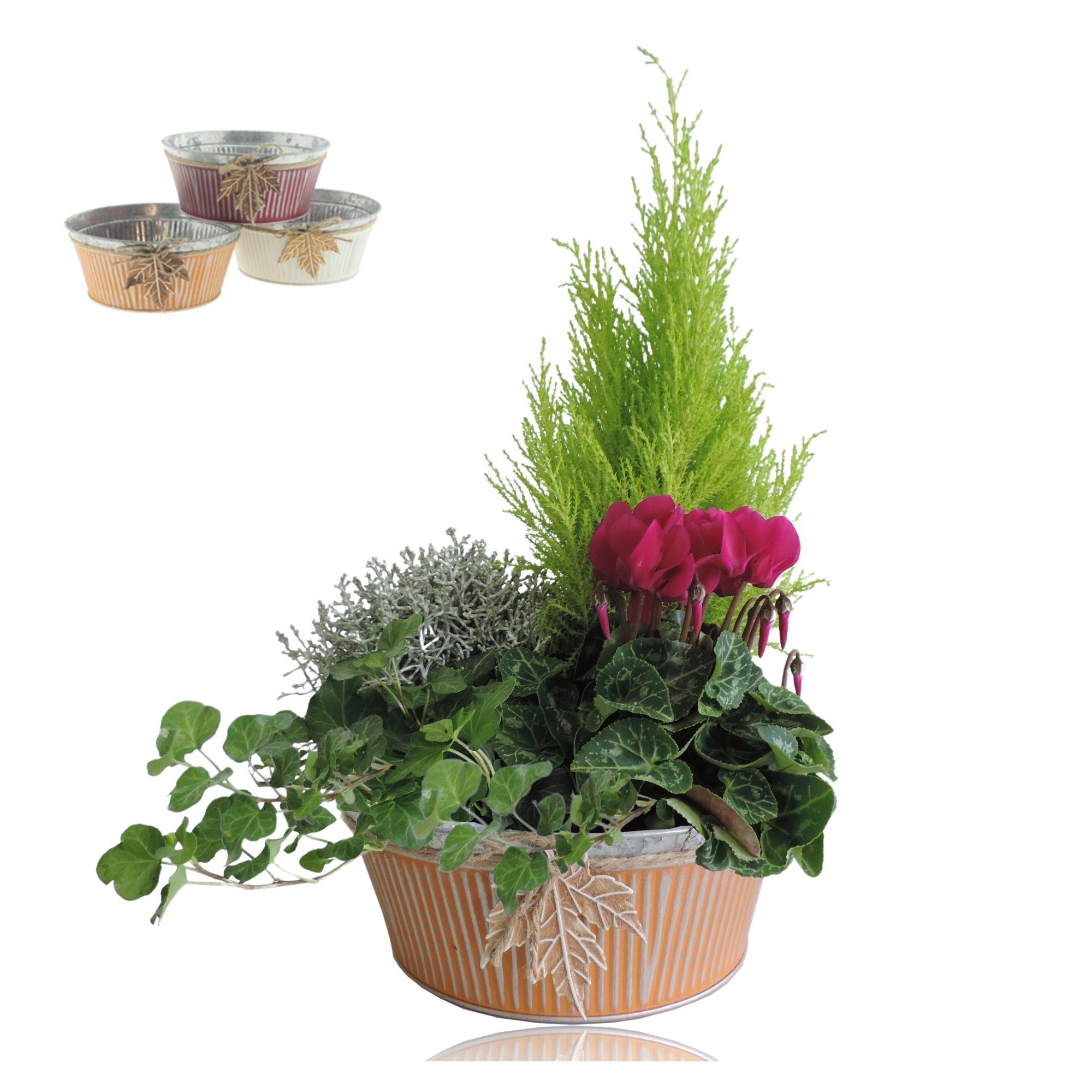 Collectie Autumn Leaf Arrangement in Zinken Schaal 21 cm, D 21