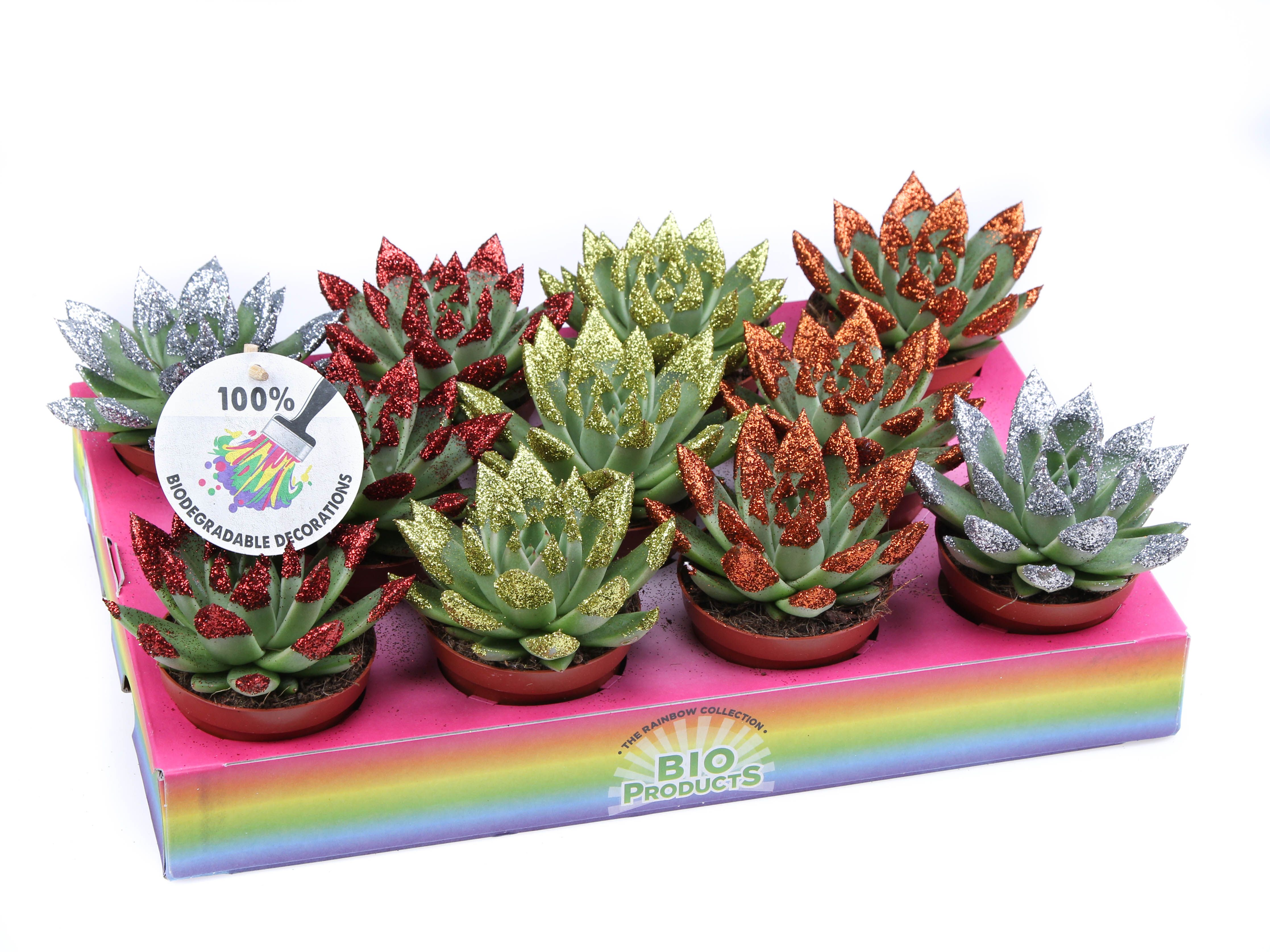 Miranda Bio glittertips, D 8,5