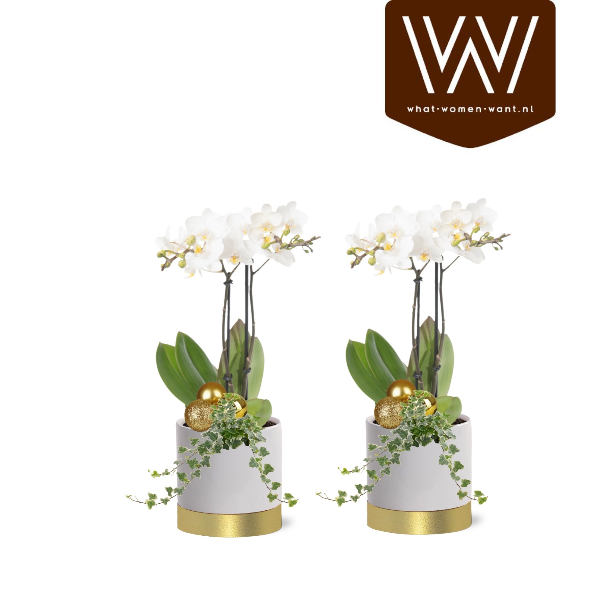 Collectie "Top Blend" kerst arrangement in keramiek Emma, D 12