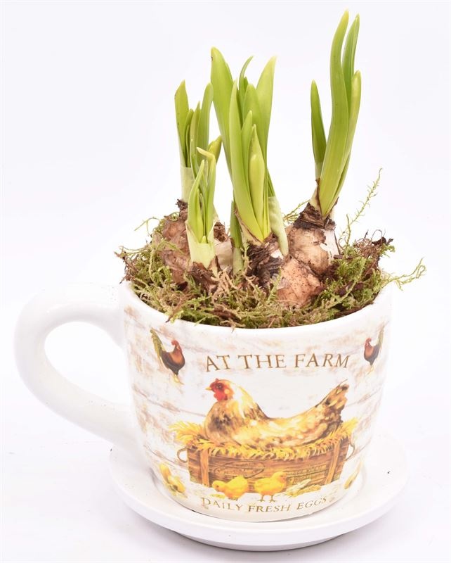 Keramiek K&S Farm 9/12cm, D 12