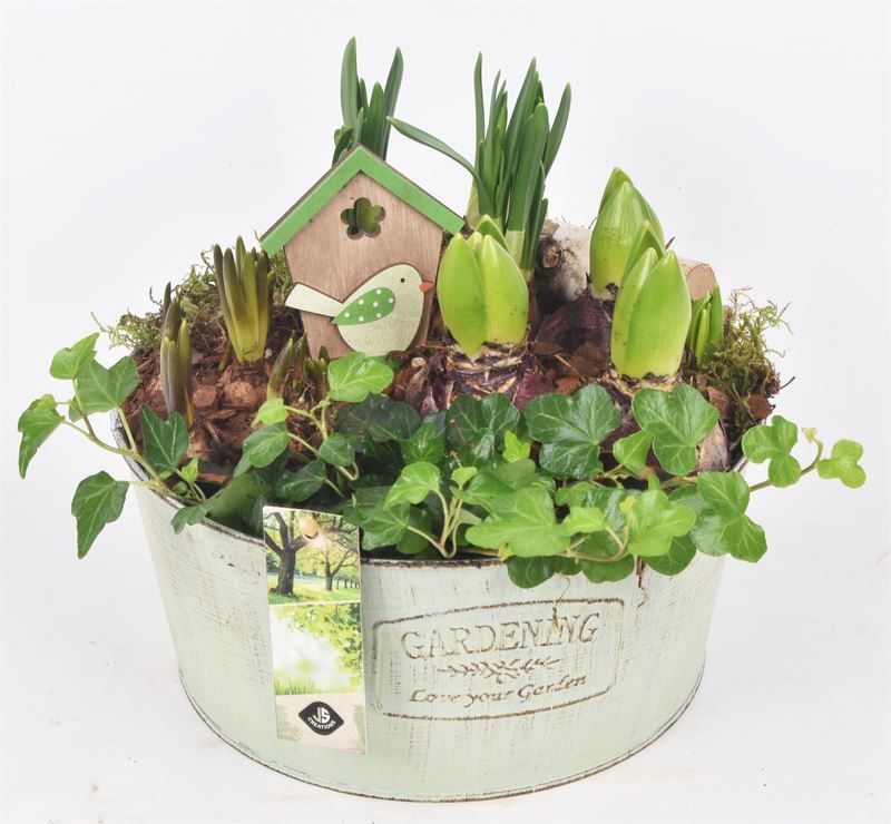 Zink rond green antic 22cm, D 22