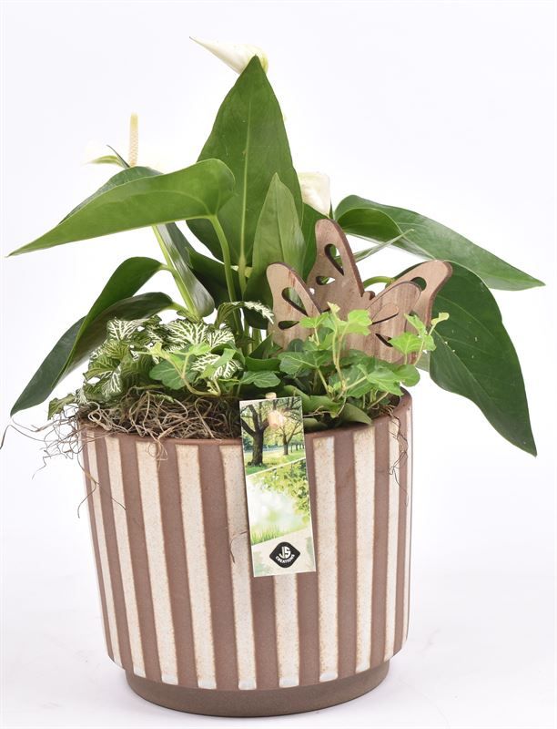 Keramiek safari look 18cm, D 18