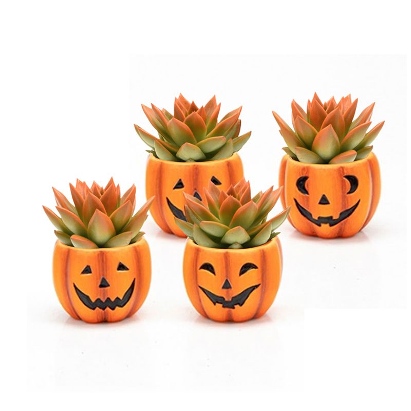 Miranda coloured festival in Happy Jack ceramics, D 8