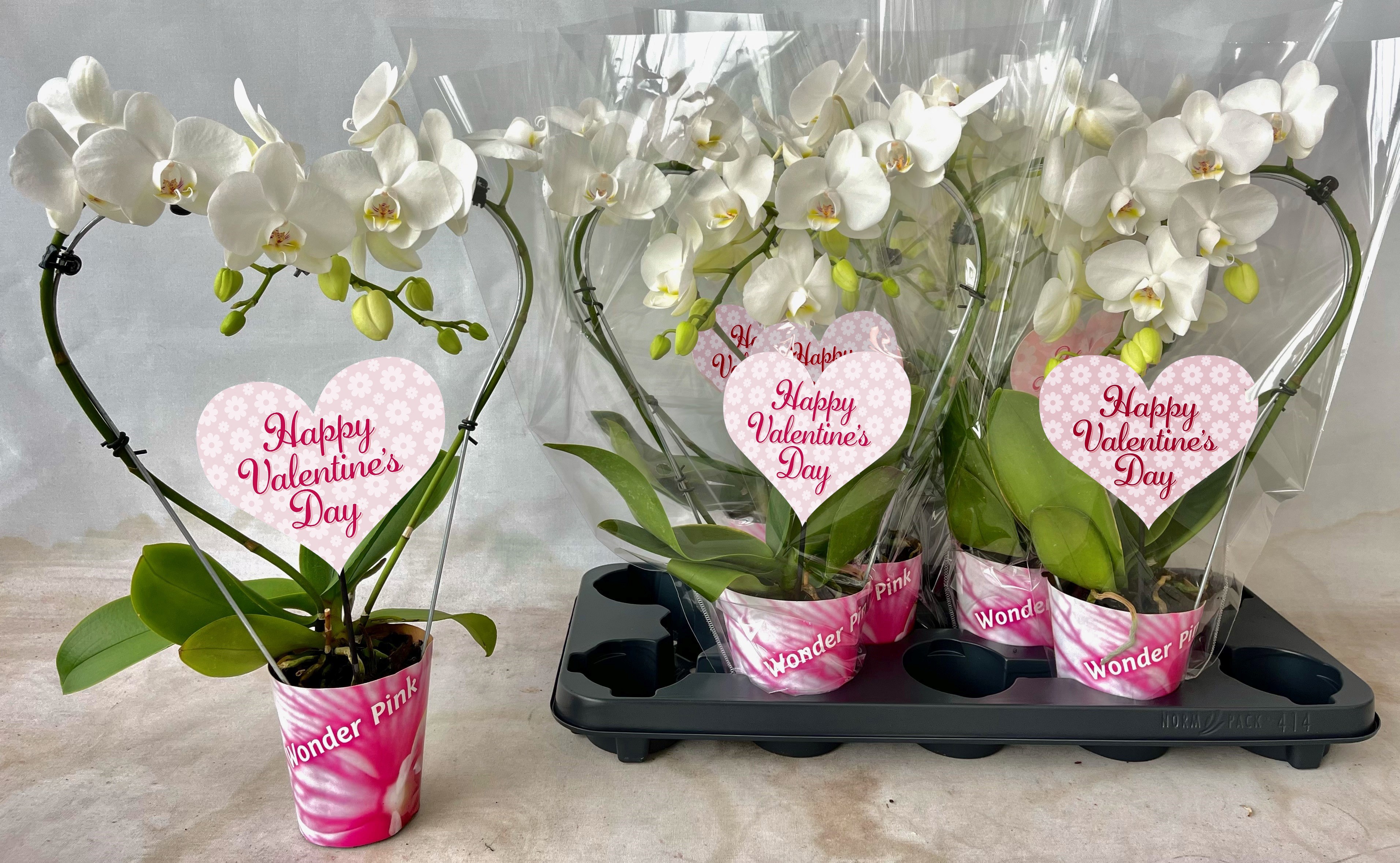 hart 9cm wit valentijn, D 9