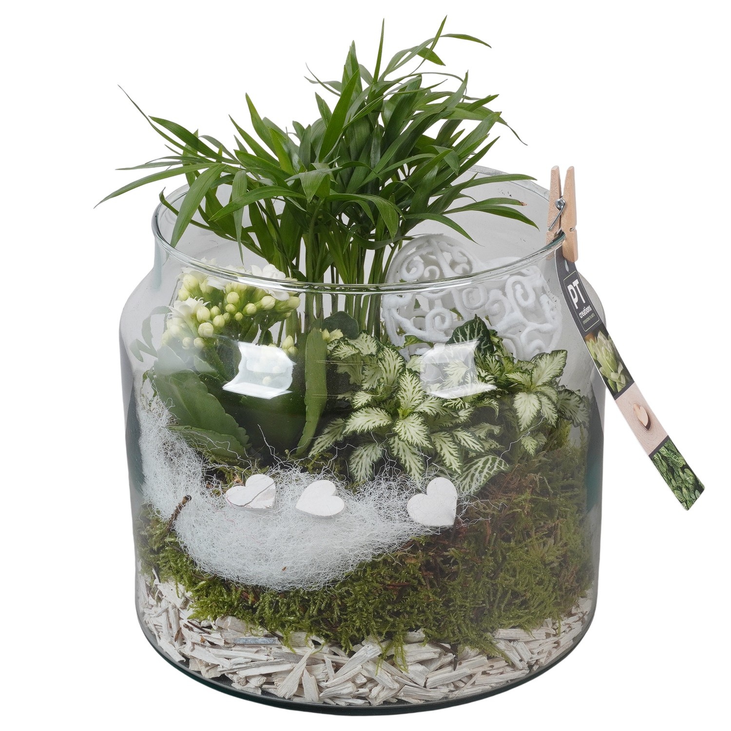 PTVMG4984 Arrangement Valentines-Mothersday in glas vaas, D 19