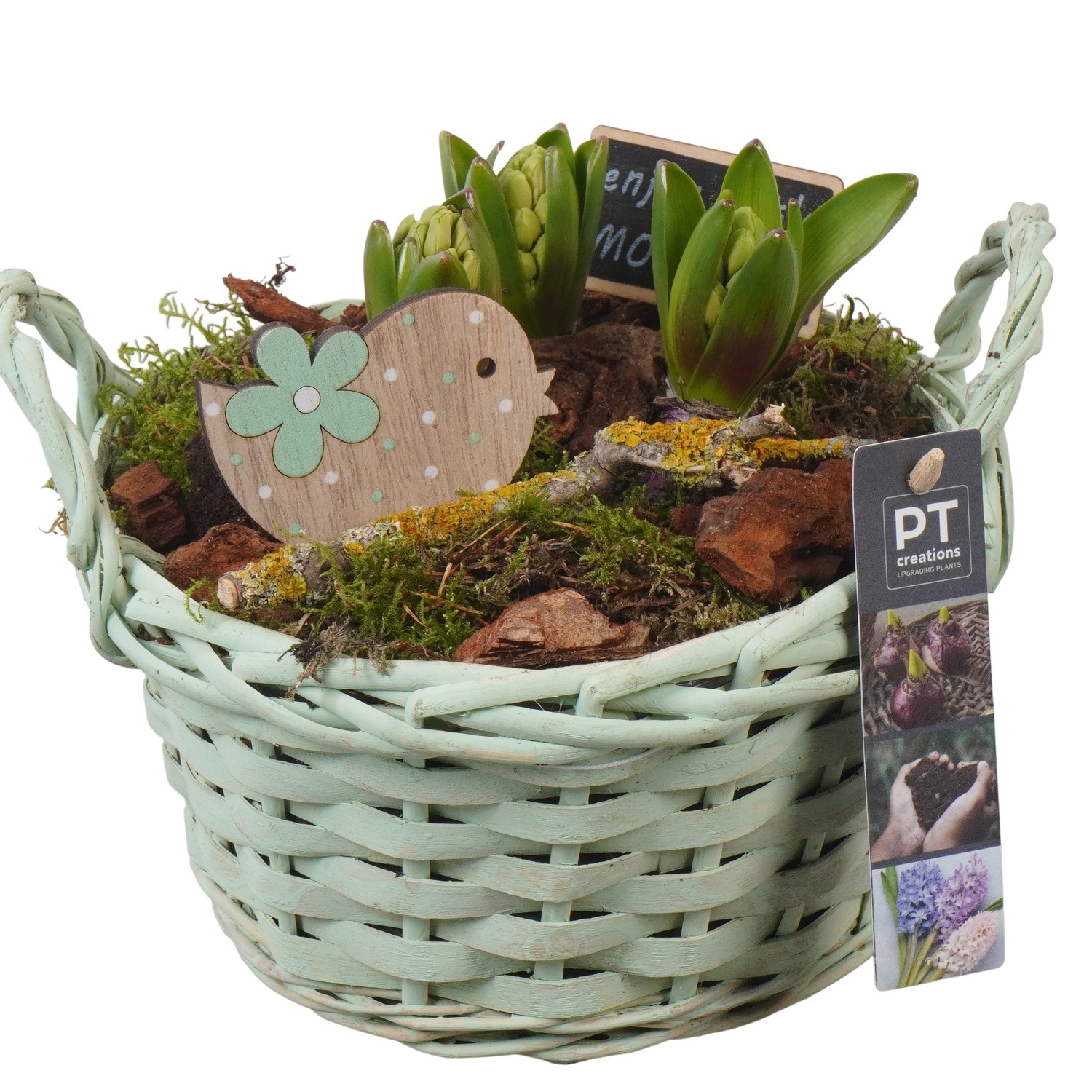 PTHC9169 Arrangement Hyacints in riet mand, D 20