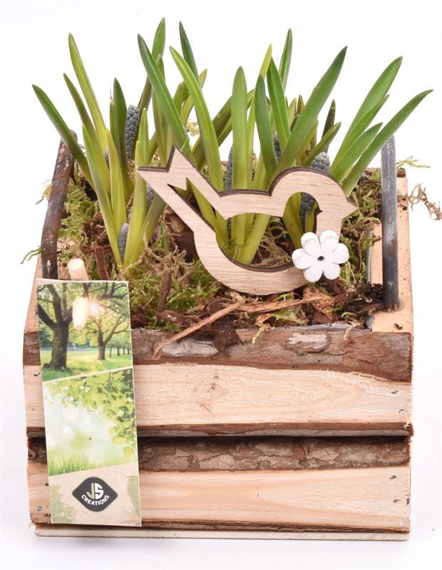 Hout vierk. met handvat 12,5x12,5cm, D 13