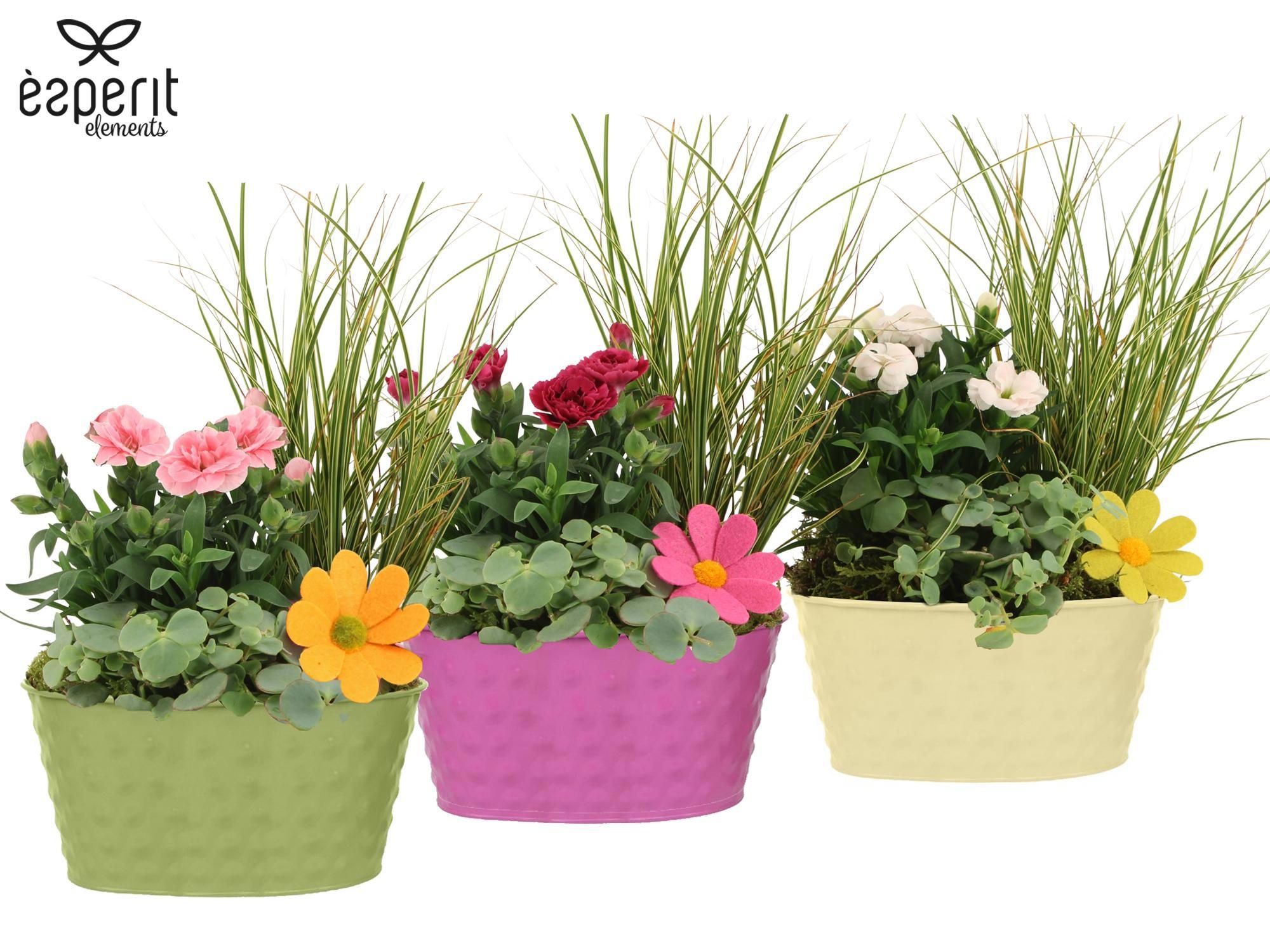 31690: Outdoor summer arrangement, D 21