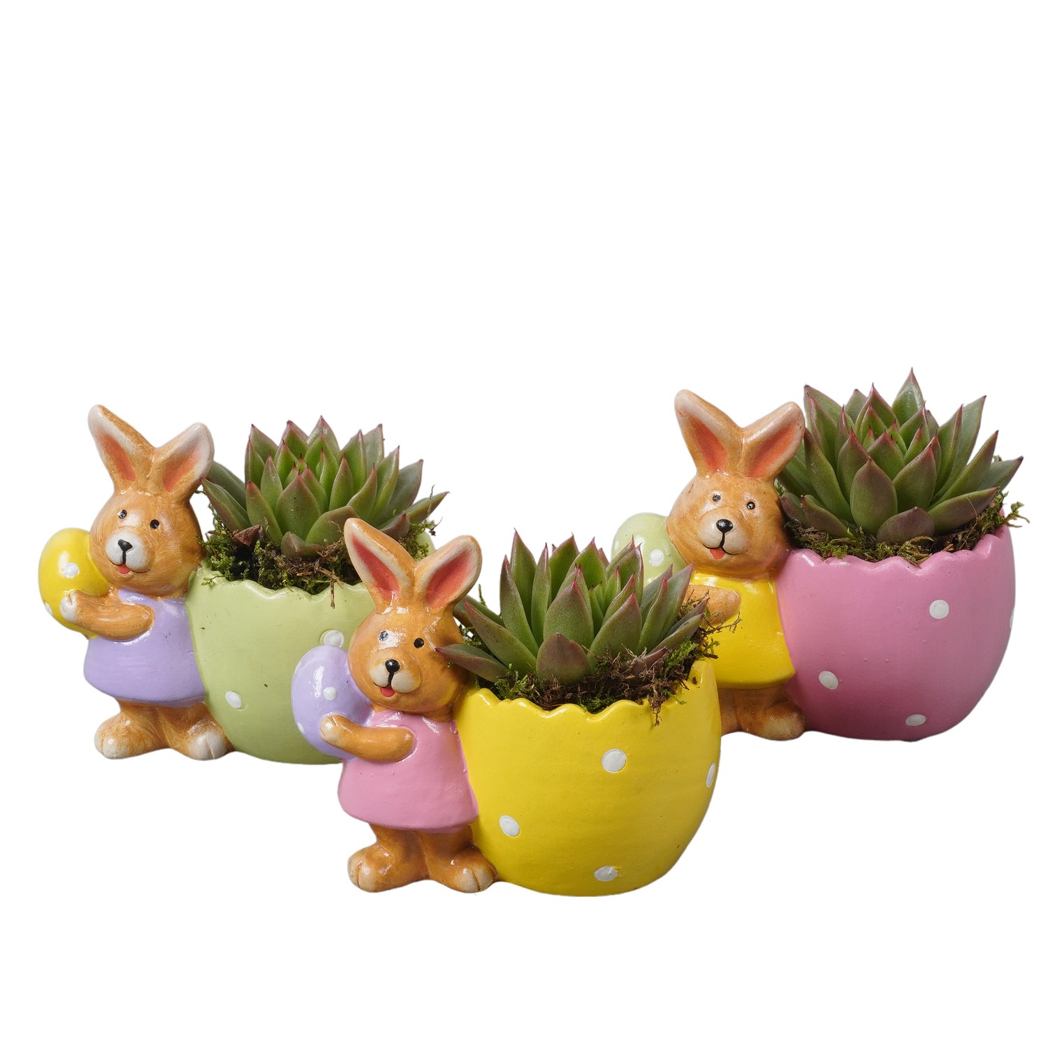 PTPB6501 Arrangement Easter in terracotta pot, D 13