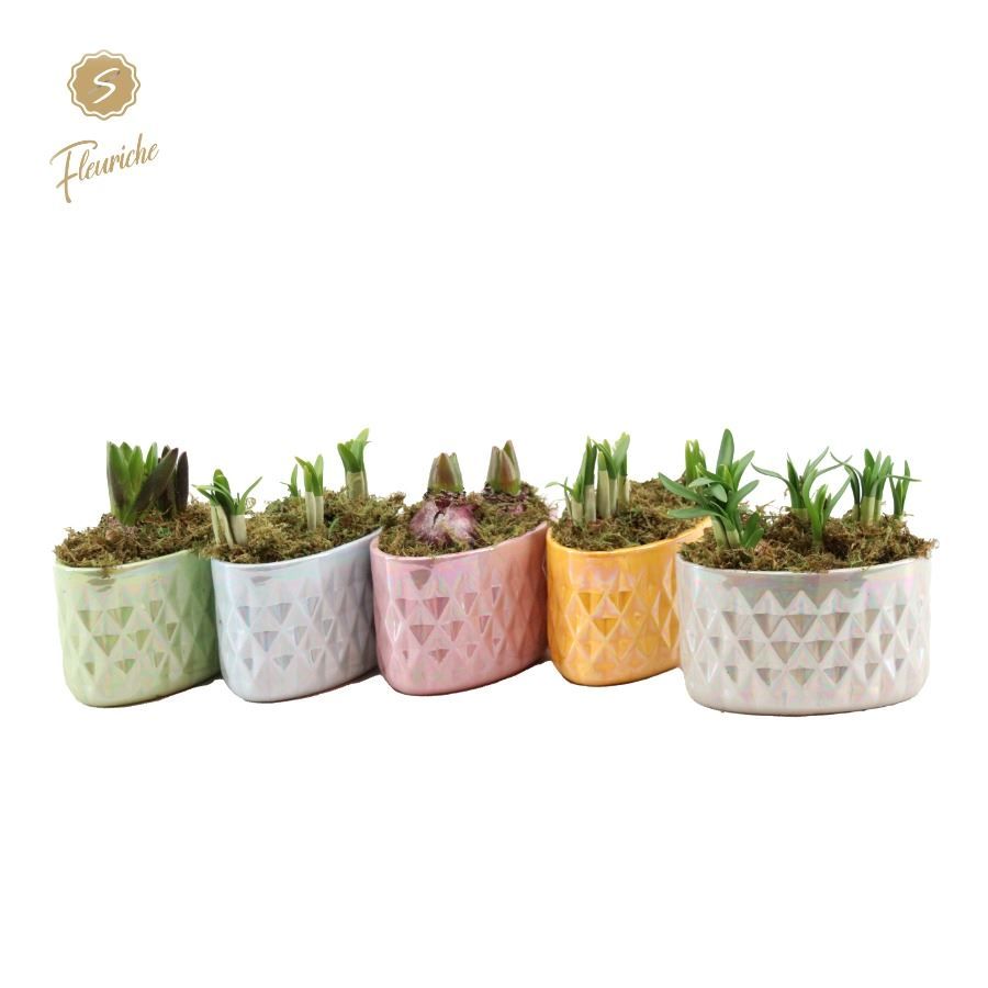 (2502) Hyacint Pearl Glazed Pots, D 12