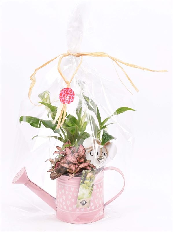 Zink gieter hart decor 24x10cm, D 24