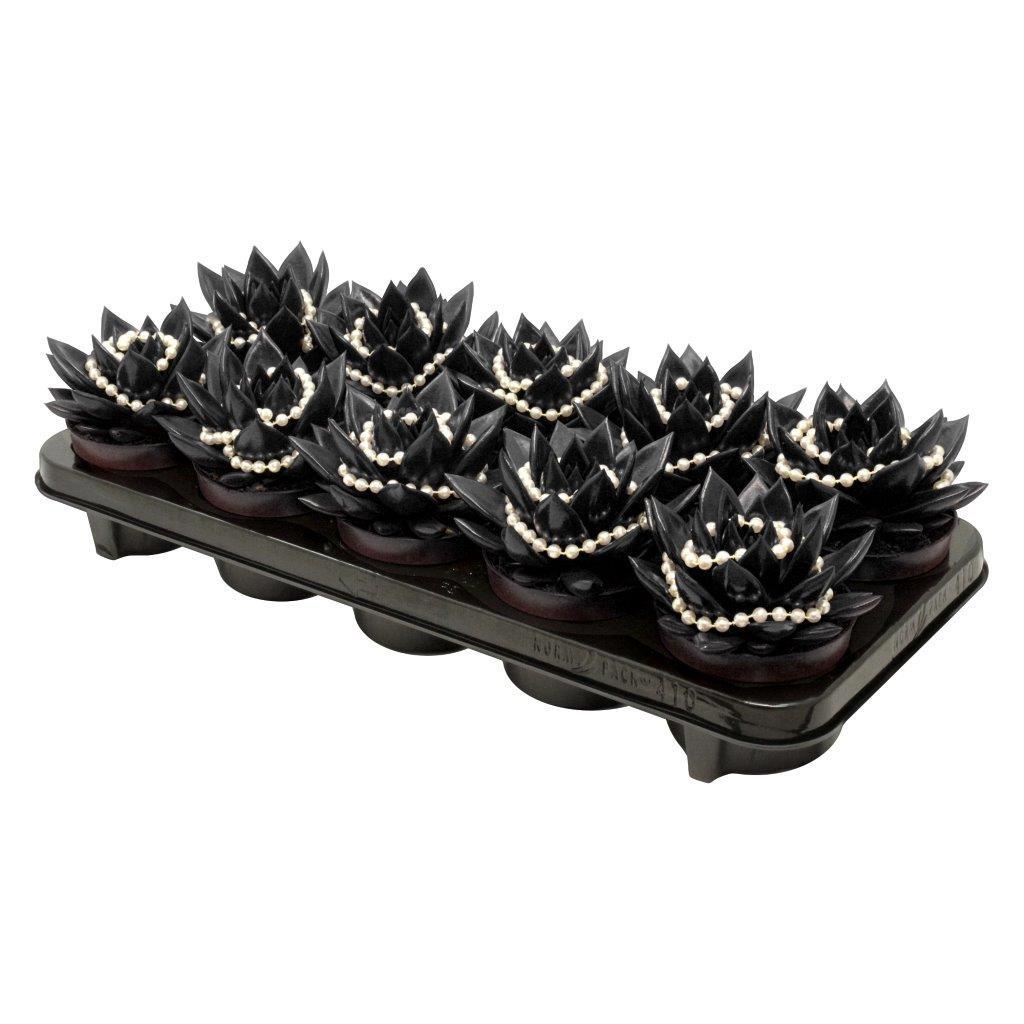 Miranda coloured black + chain, D 10,5