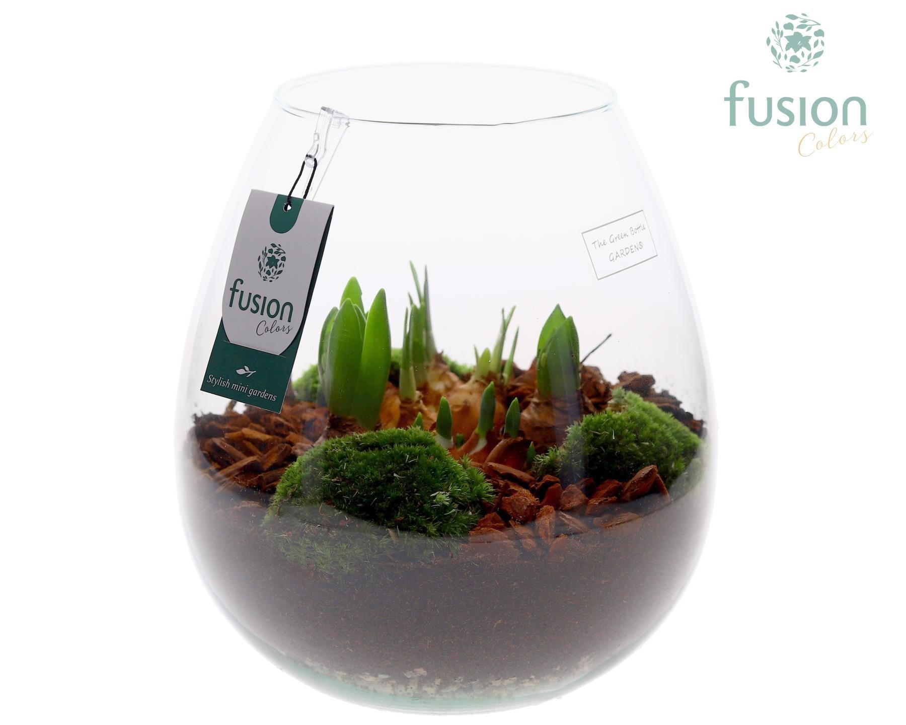 Green Bottle Abby Large met Bollen mix, D 24