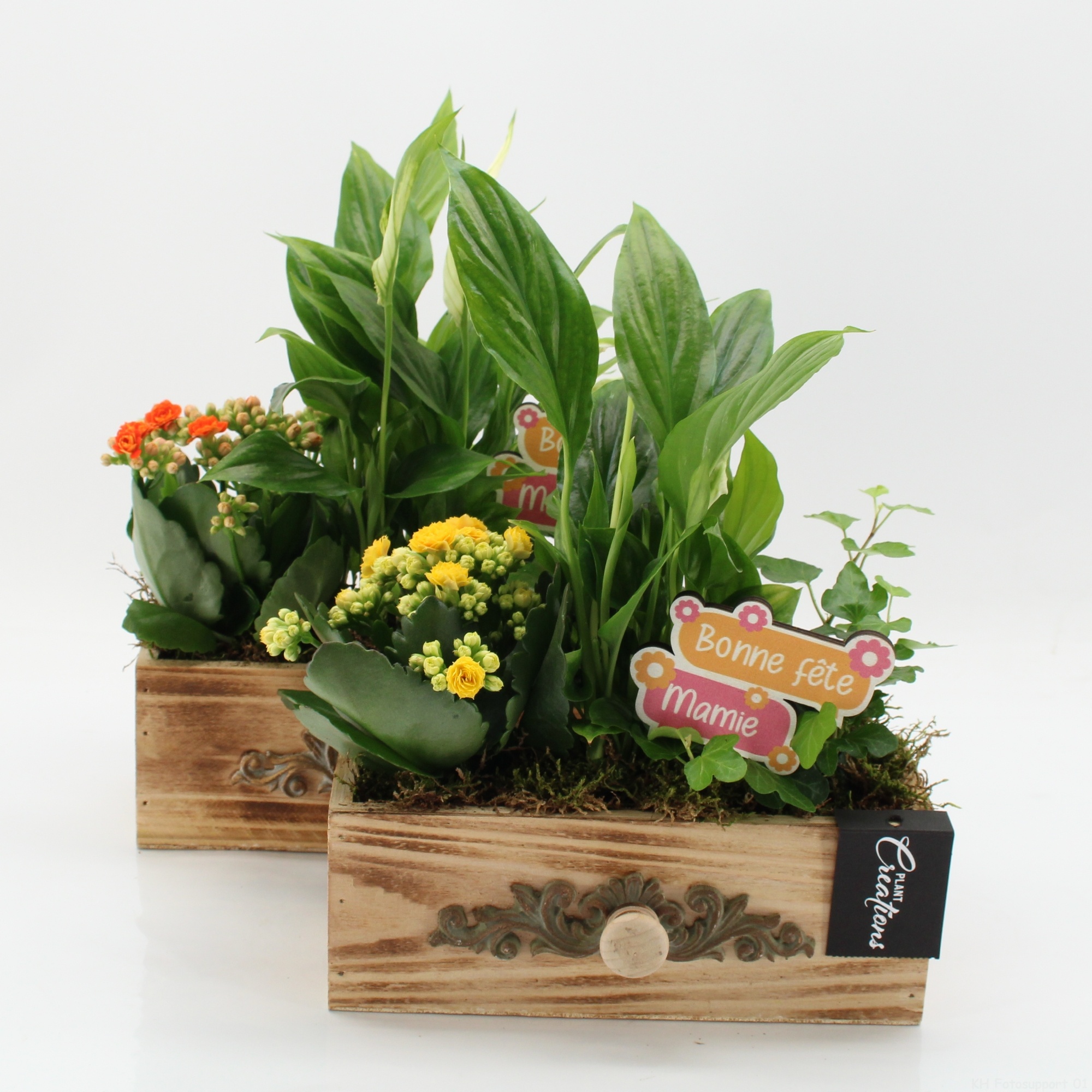 FGCR-2622 Fête des grands-mères, D 21