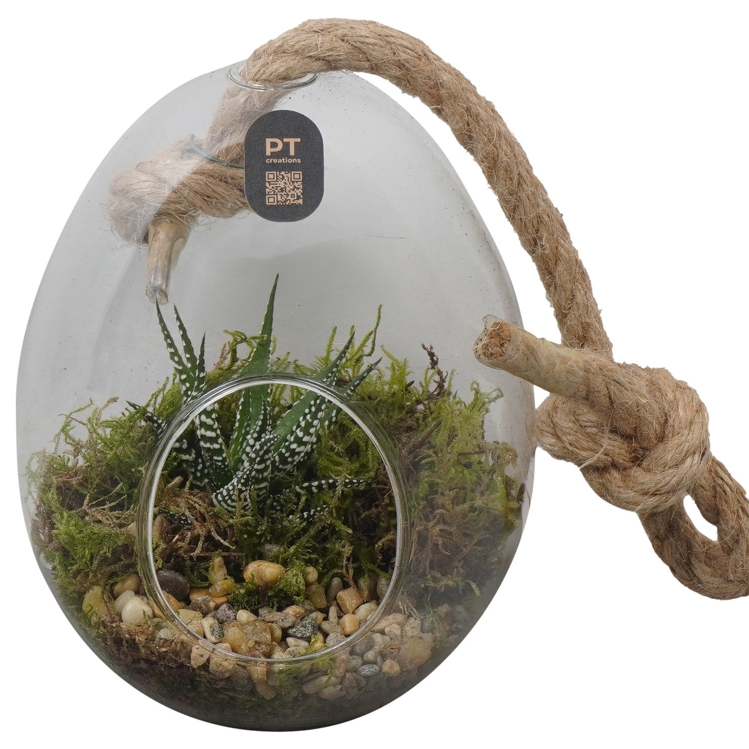 PTIG2698 Arrangement Indoor in glazen ei, D 13