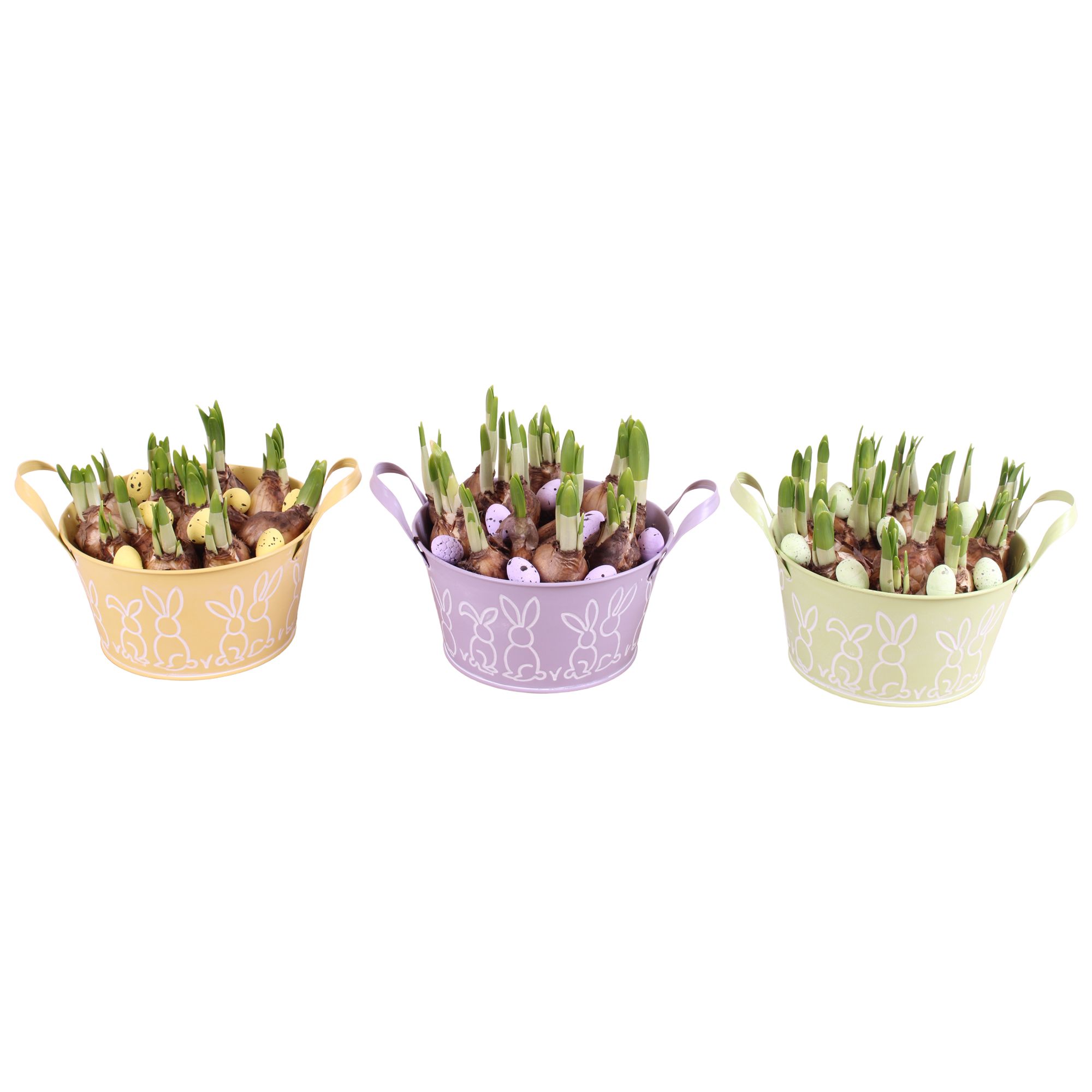 Easter Arr. Narcis Zinc Pot Round Bunny Relief Ø17cm, D 17