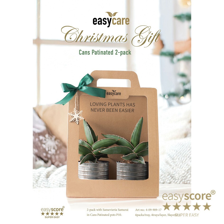 GREEN MIX 40990917 Christmas Cans Patina, D 10