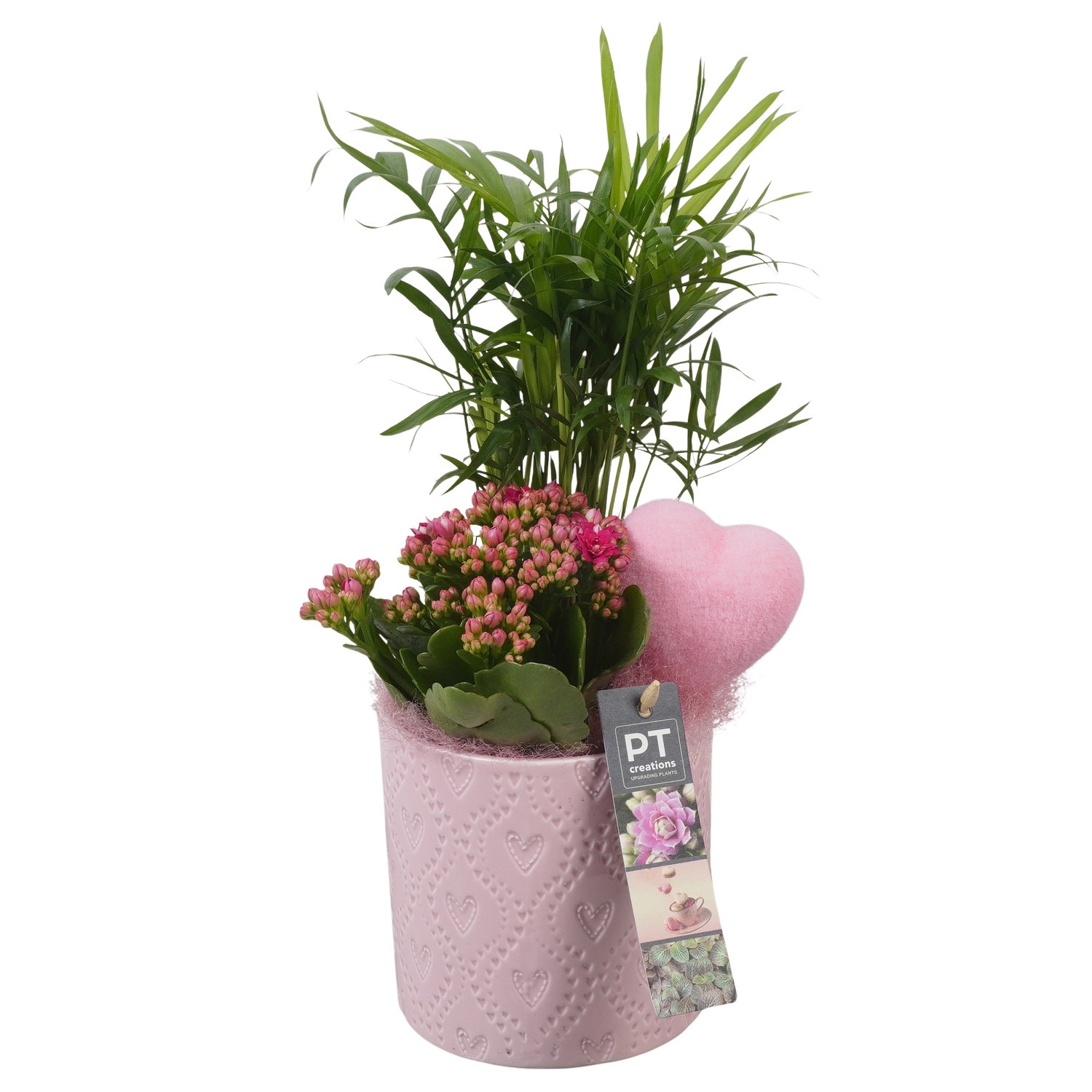 PTVMB2296 Arrangement Valentines-Mothersday in keramiek sierpot, D 12