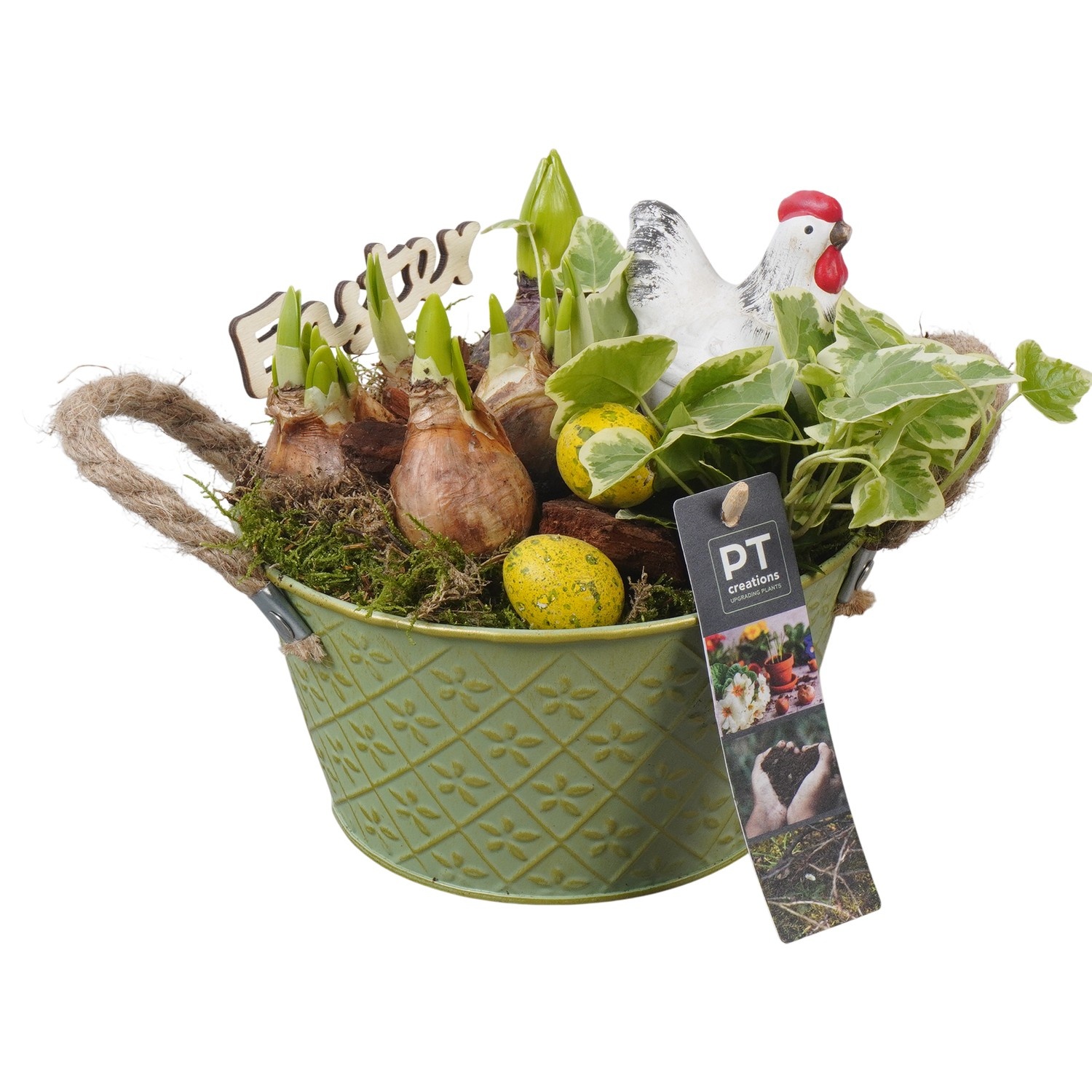 PTBMP5647 Arrangement Easter Bulbs Mix in zink pot, D 18