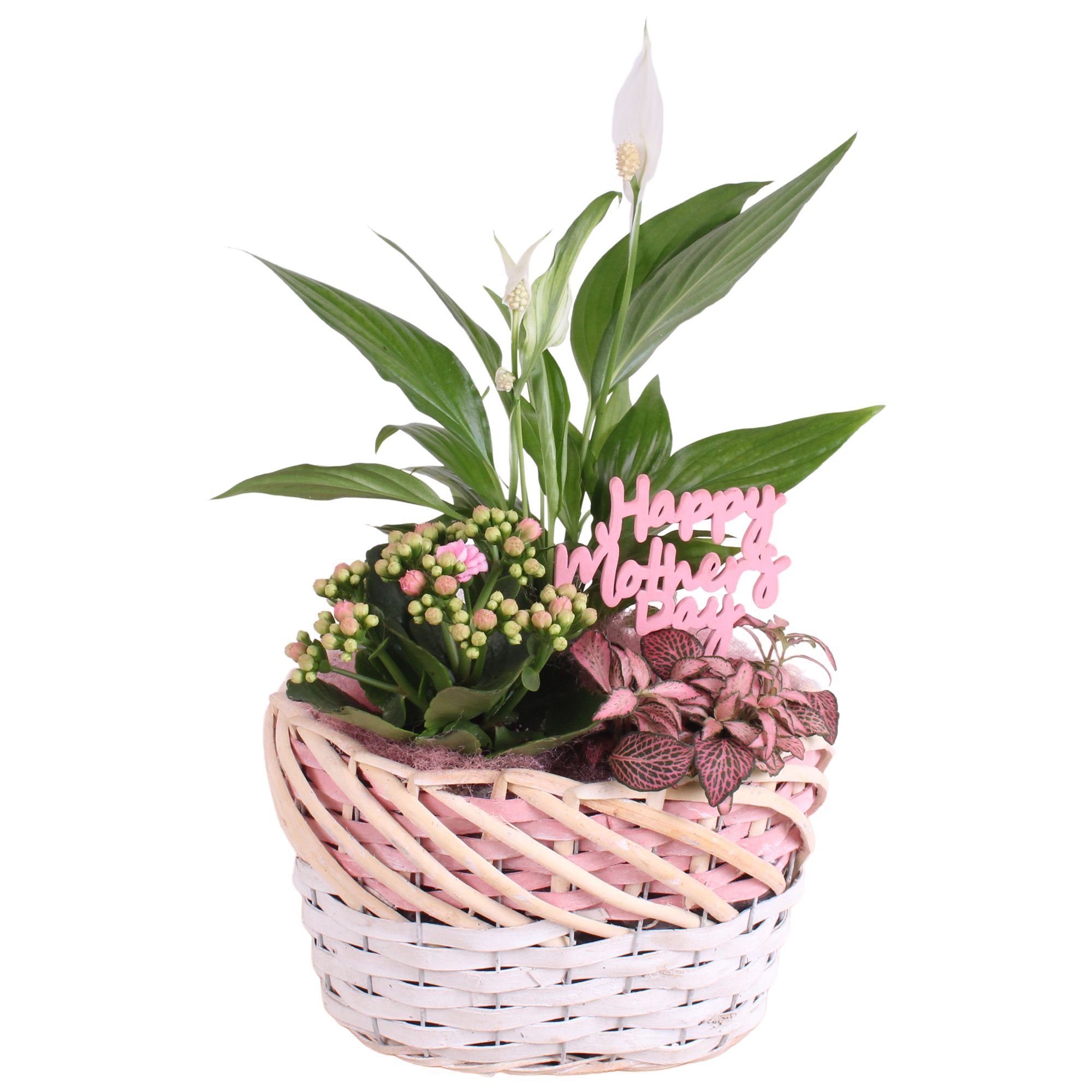 Mothersday Arr. Indoor Willow Basket Oval Threetone Ø25cm 3PP, D 25