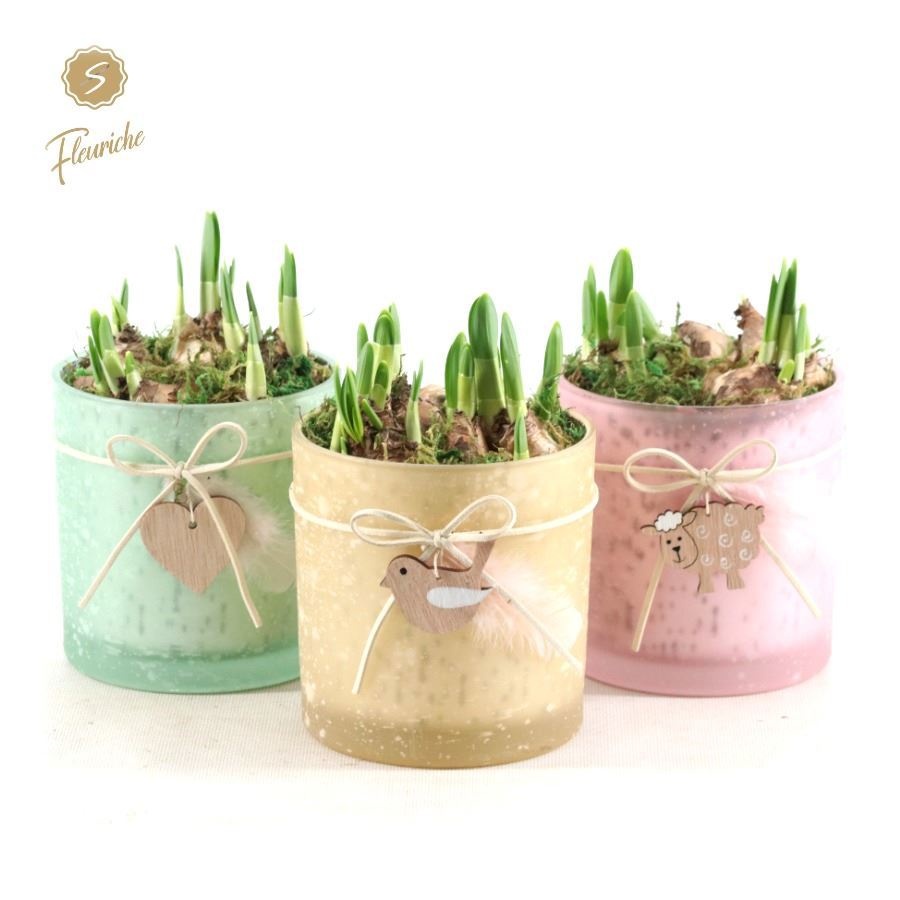 (3506) Hyacint Spring Glass [L] Mos, D 15