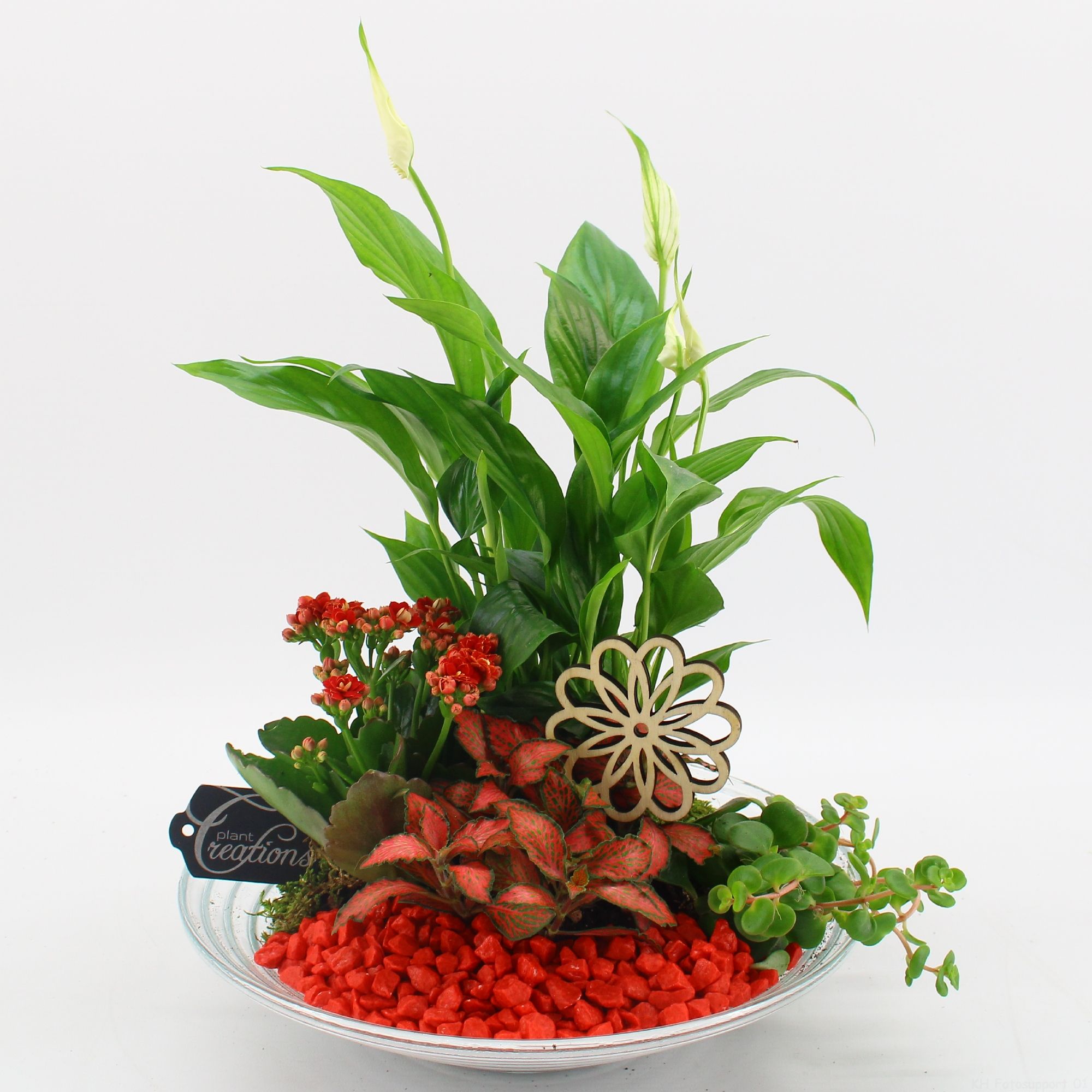 FDCR-2600R Basic fundamentals, D 30