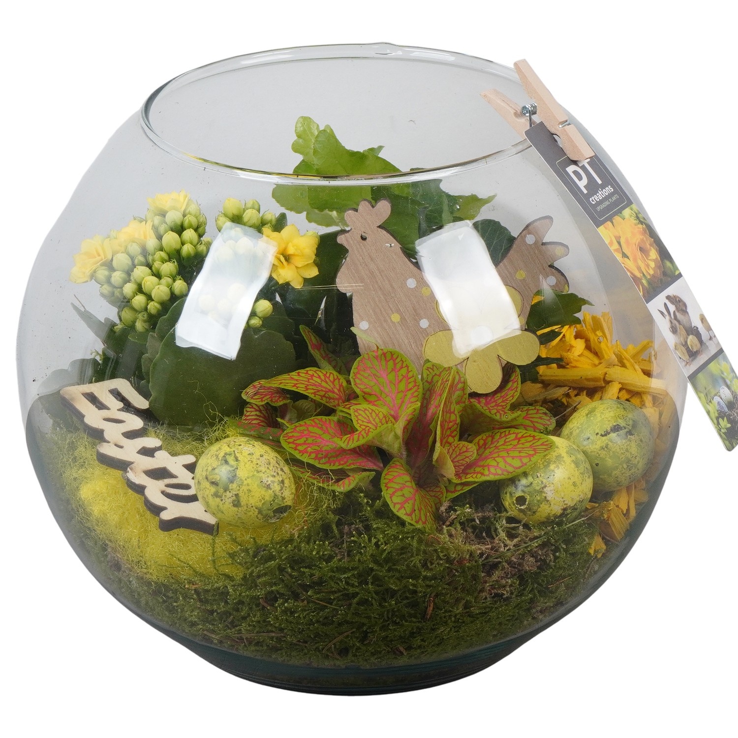 PTPG9401 Arrangement Easter in glas, D 20