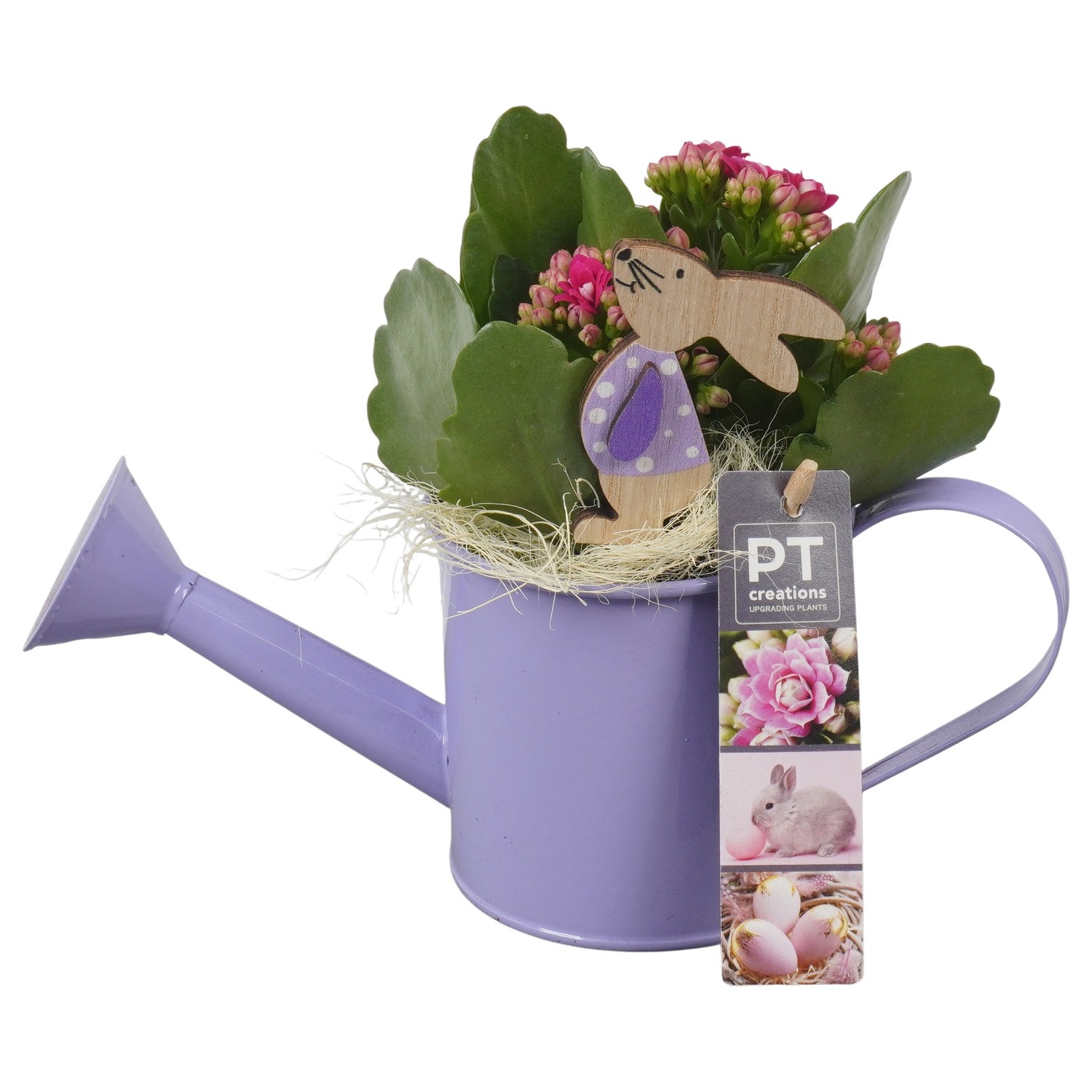 PTPB6432 Arrangement Easter in zink gieter, D 9