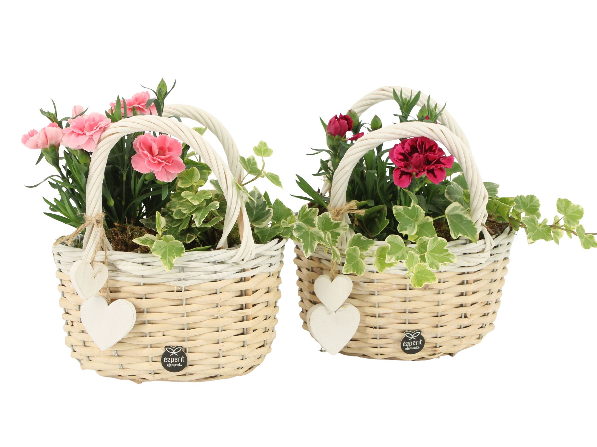 21889: Love outdoor arrangement, D 20