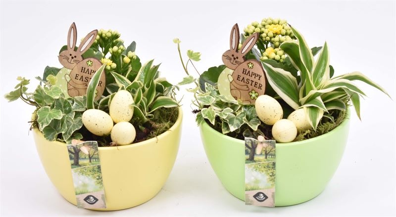 Keramiek schaal gr/ge 15,5cm, D 15