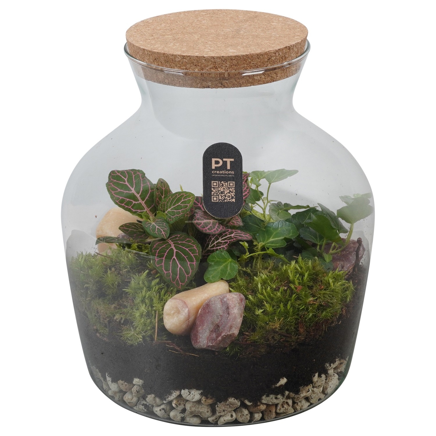 PTTER8104 Arrangement terrarium in glazen terrarium, D 20