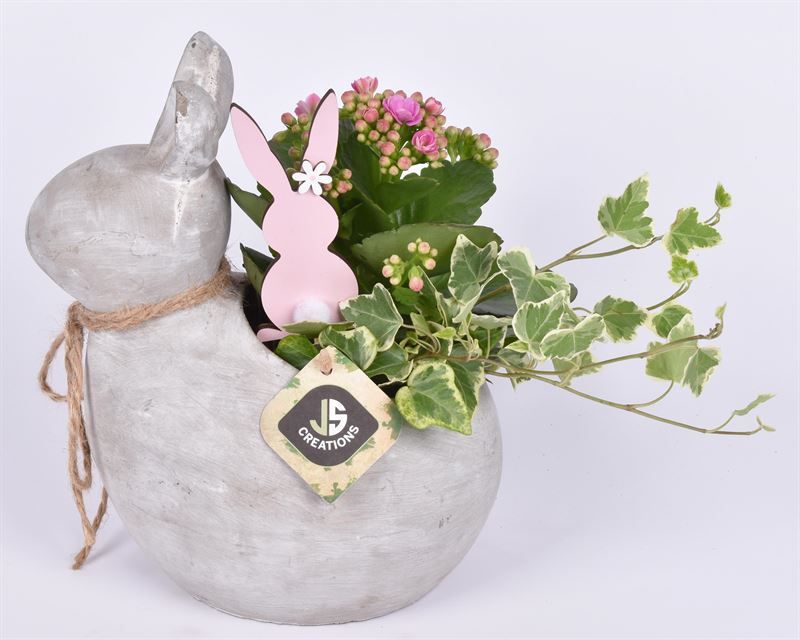 Cement konijn 20x15, D 22