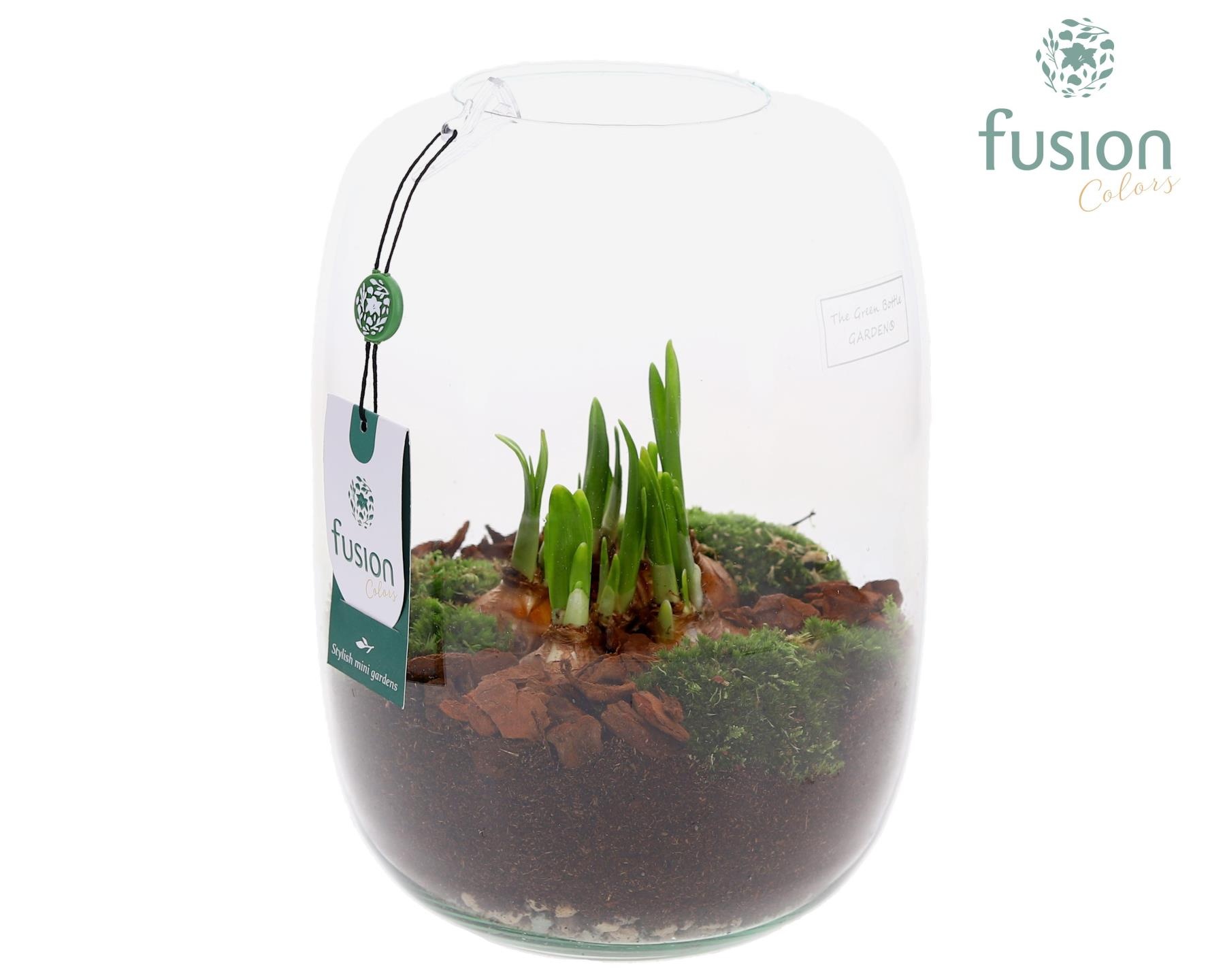 Green Bottle Isabella Large met Narcissen, D 19